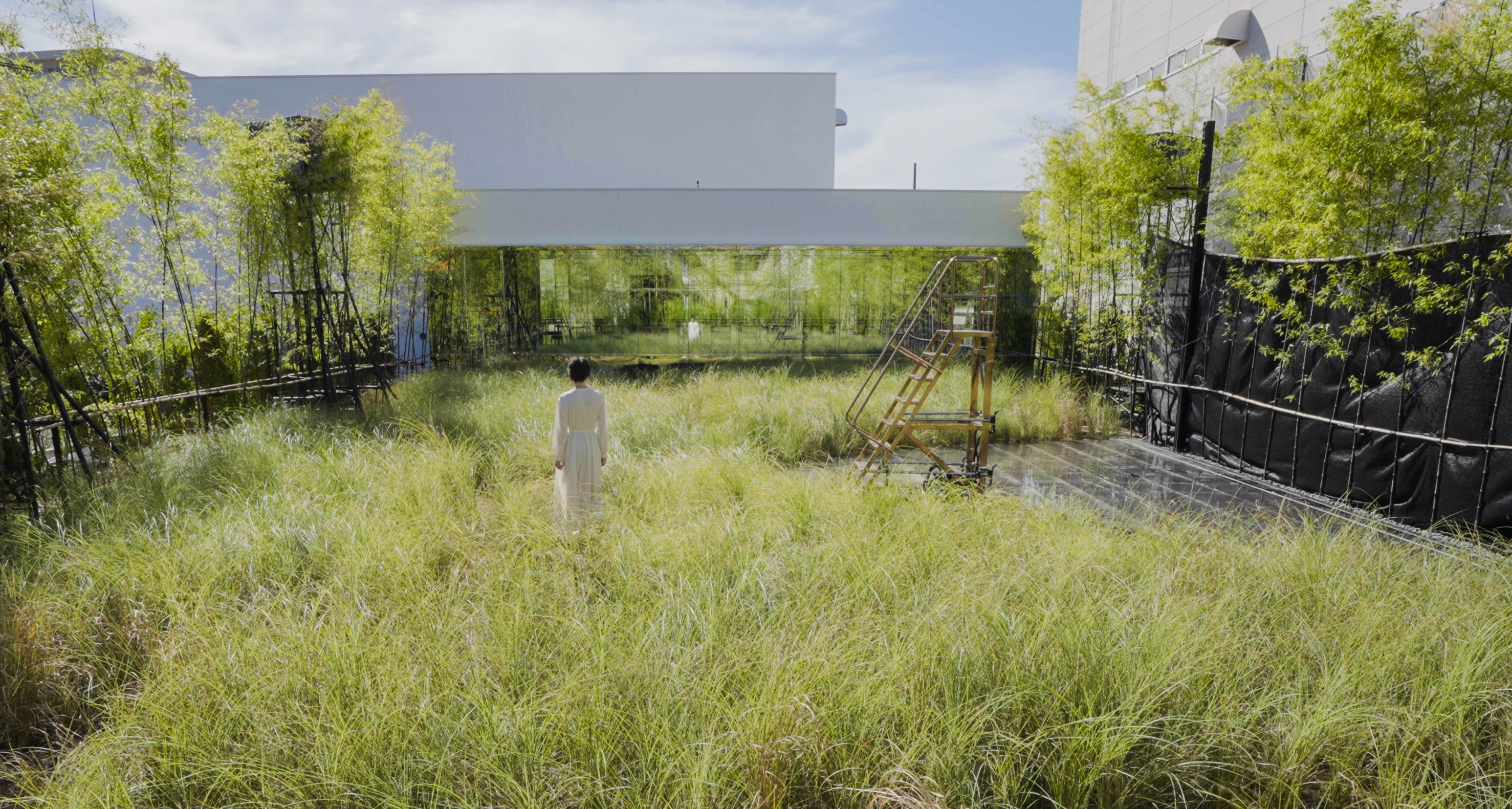 工場地帯の中にある、空き地の草むらのような草原。風は戻り、雨は広がり、太陽が増えた。チームラボ《風と雨と太陽の草原》© チームラボ