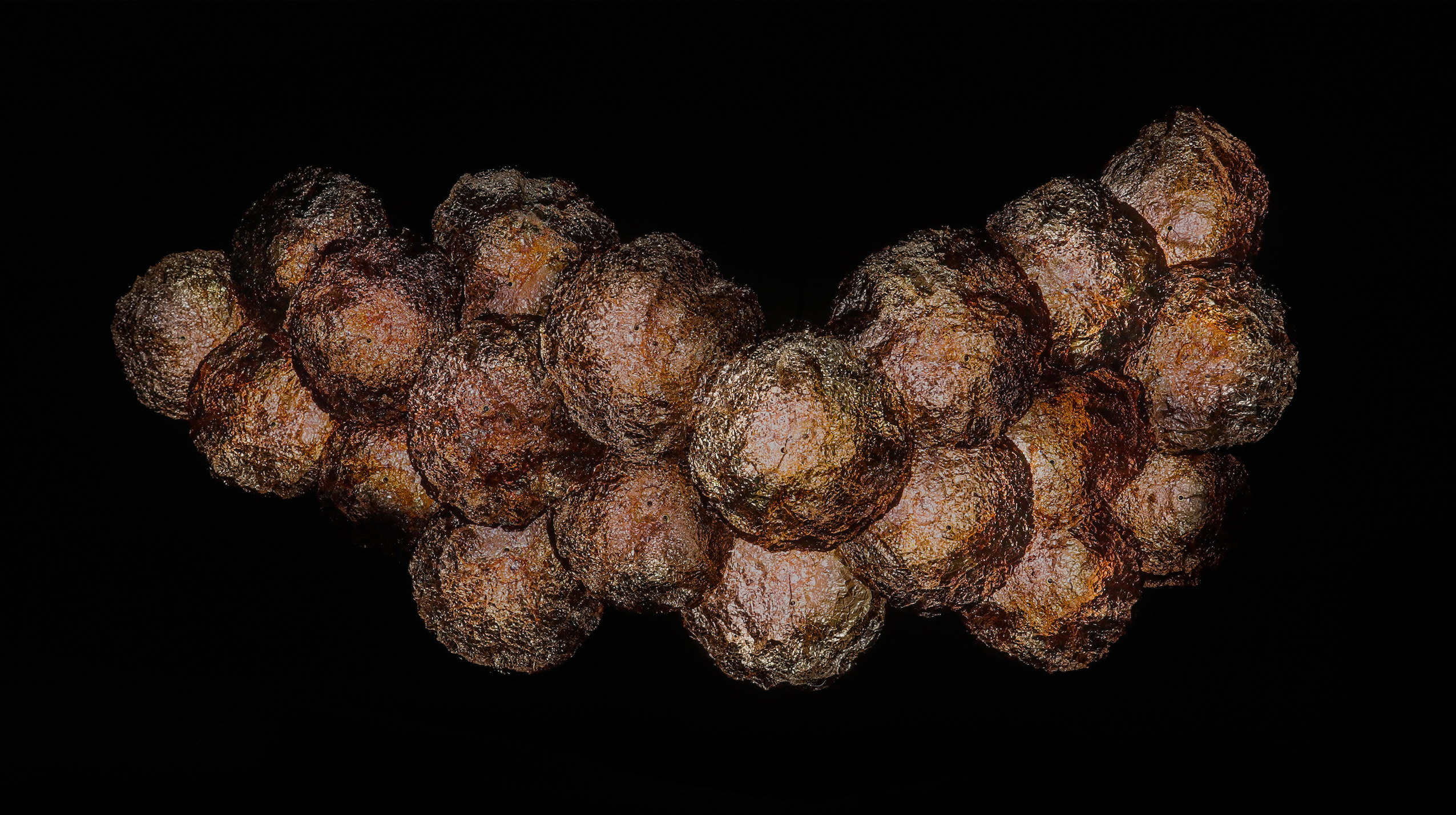 チームラボ《銅の化石》© チームラボ