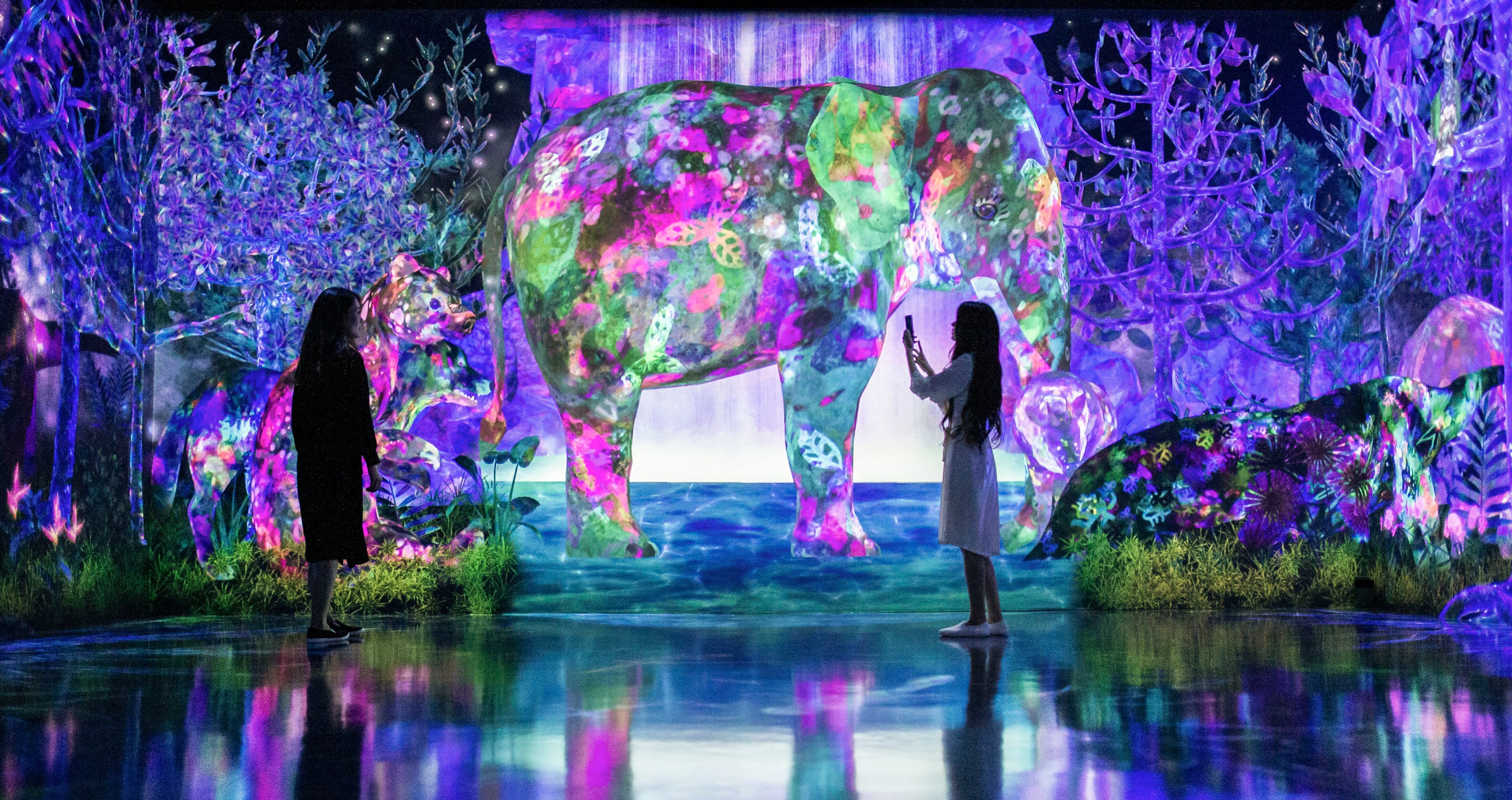 チームラボ《捕まえて集める絶滅の森 - A Whole Year per Year》Courtesy teamLab Forest, Fukuoka © チームラボ
