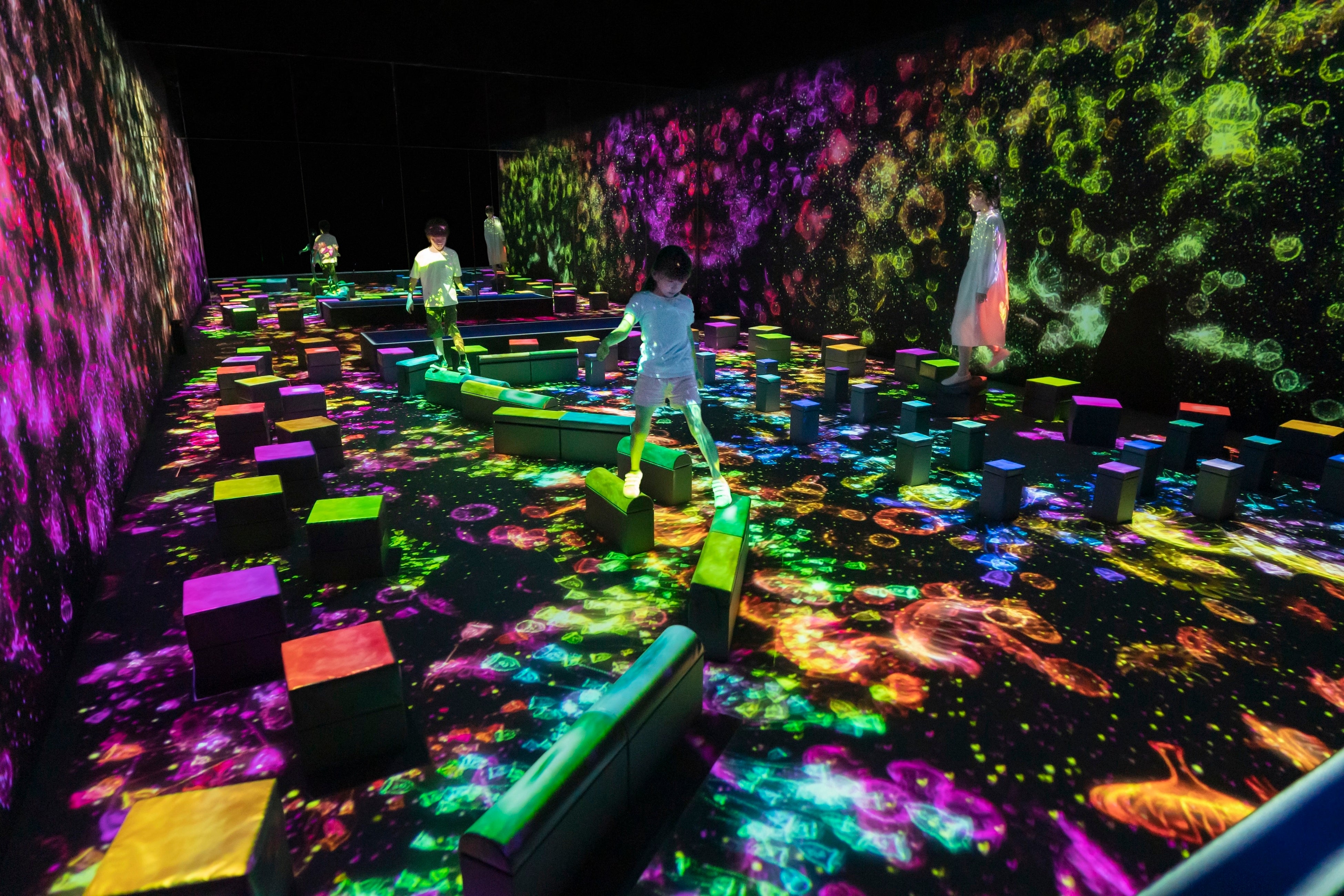 チームラボ 《インビジブルな世界のバランス飛石》Courtesy teamLab Borderless, Odaiba © チームラボ