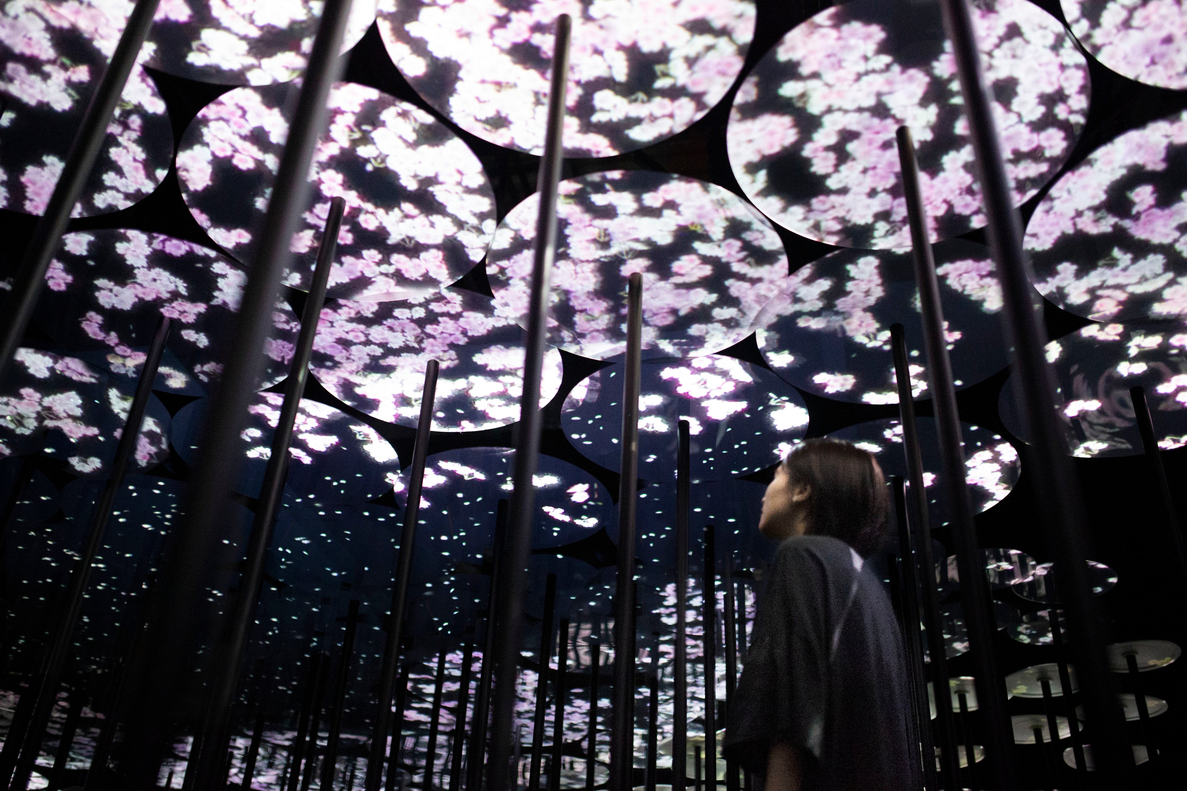 チームラボボーダレス」（東京・お台場）が【春】の景色に。桜色