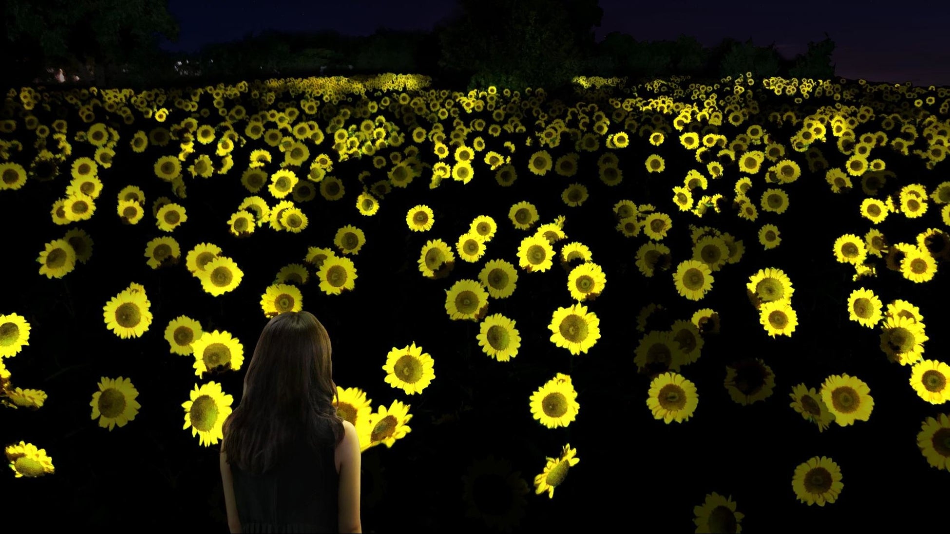 長居植物園 チームラボ ボタニカルガーデン 大阪 7月29日オープン チケット販売開始 長居植物園 チームラボ ボタニカルガーデン 大阪 7月29日オープン チケット販売開始