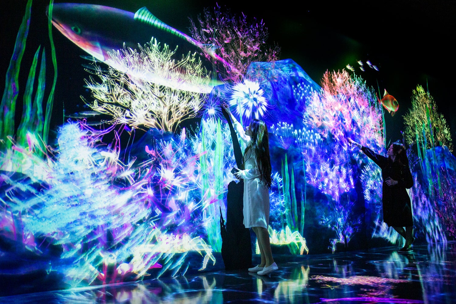 チームラボ《捕まえて集める恵みの海》© チームラボ