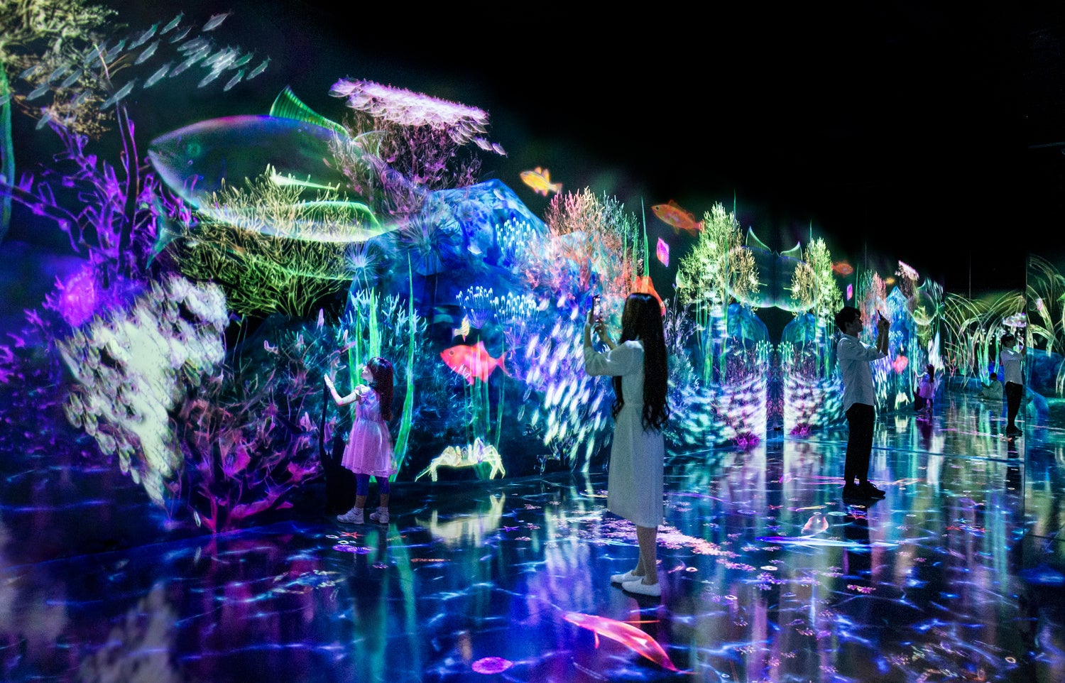 チームラボ《捕まえて集める恵みの海》© チームラボ