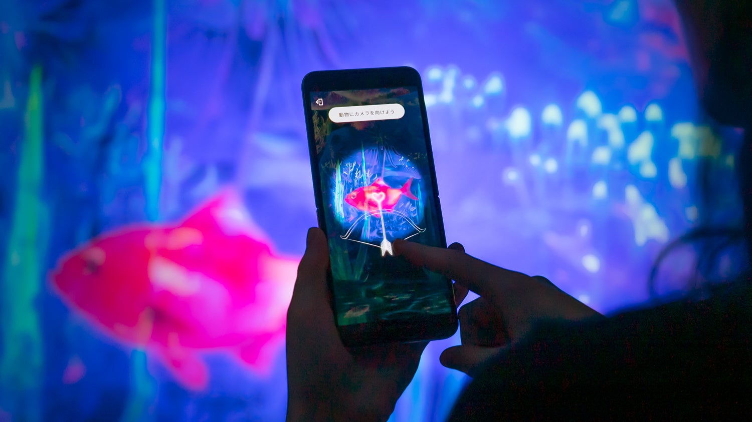 チームラボ《捕まえて集める恵みの海》© チームラボ