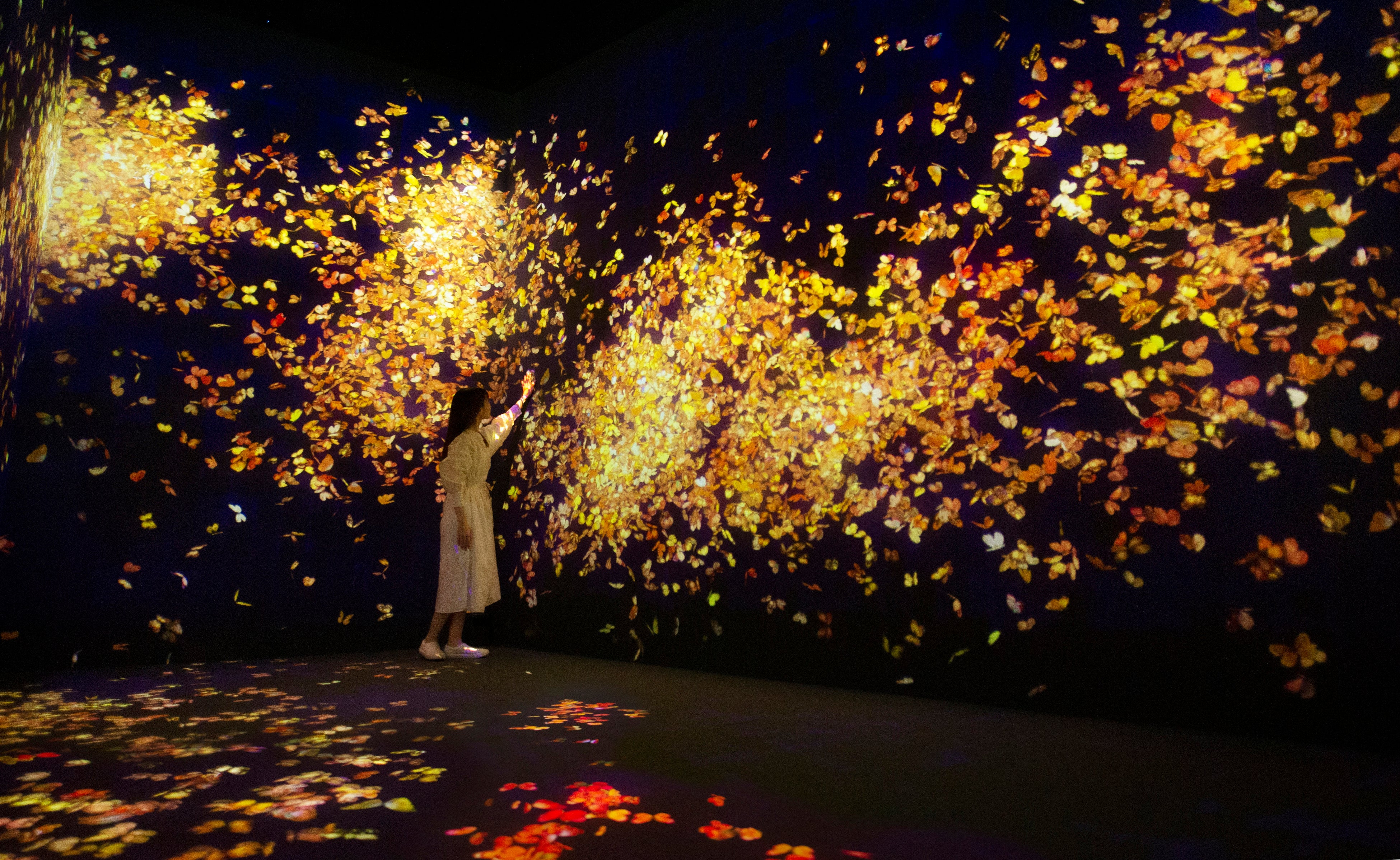 チームラボ《群蝶、儚い命 - A Whole Year per Year》©チームラボ 