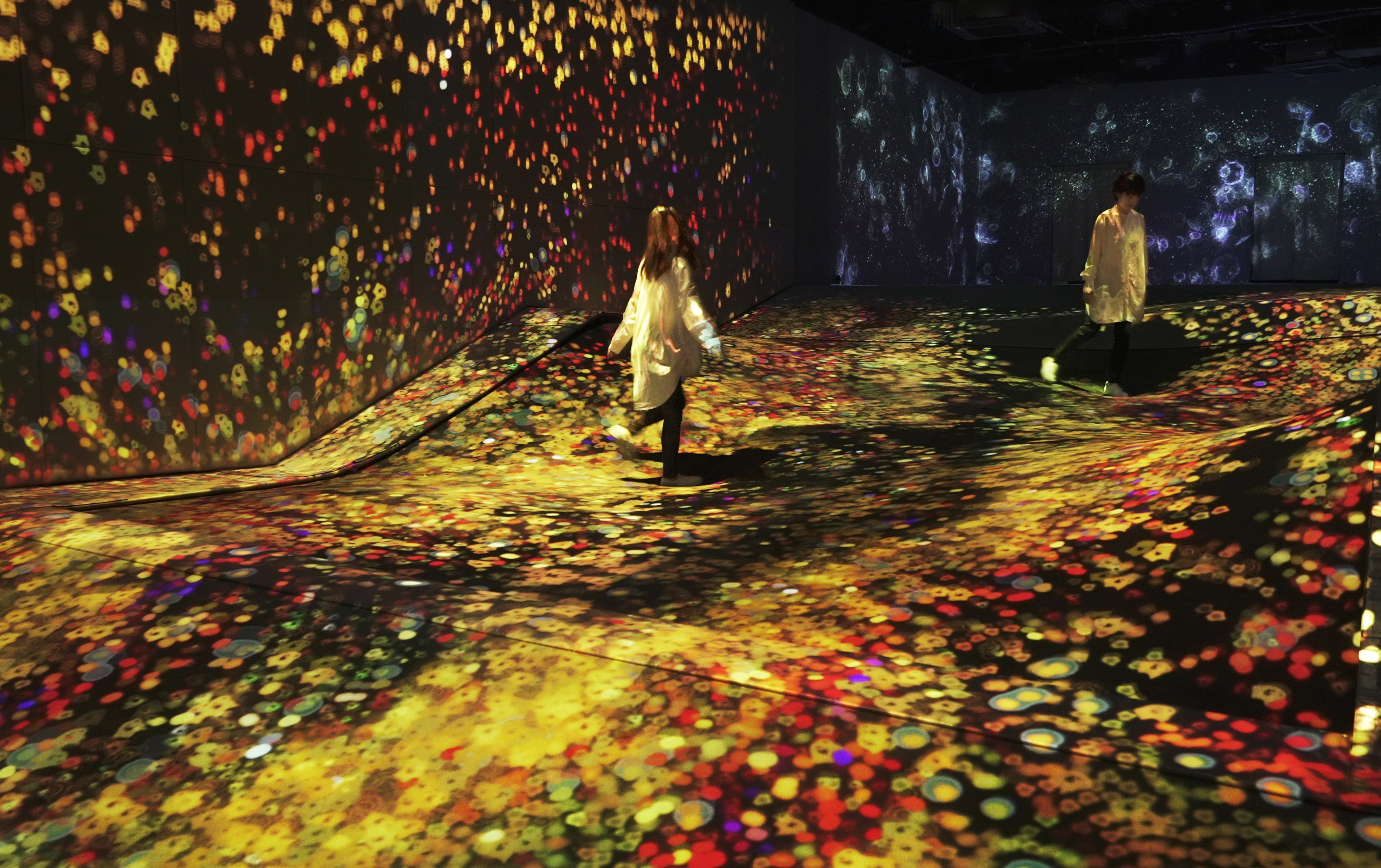 チームラボ《つぶつぶの地層のふわふわな地形 - A Whole Year per Year》©チームラボ