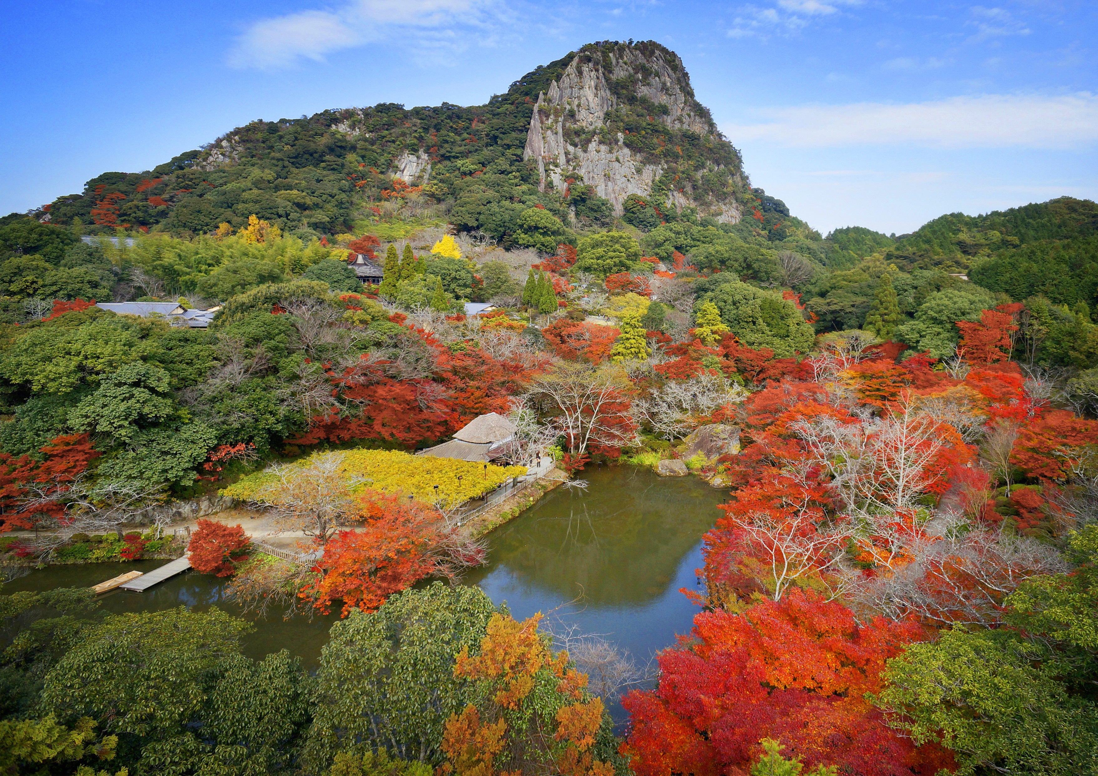 ▲紅葉まつりは12月4日まで。夜の紅葉ライトアップは日本最大級
