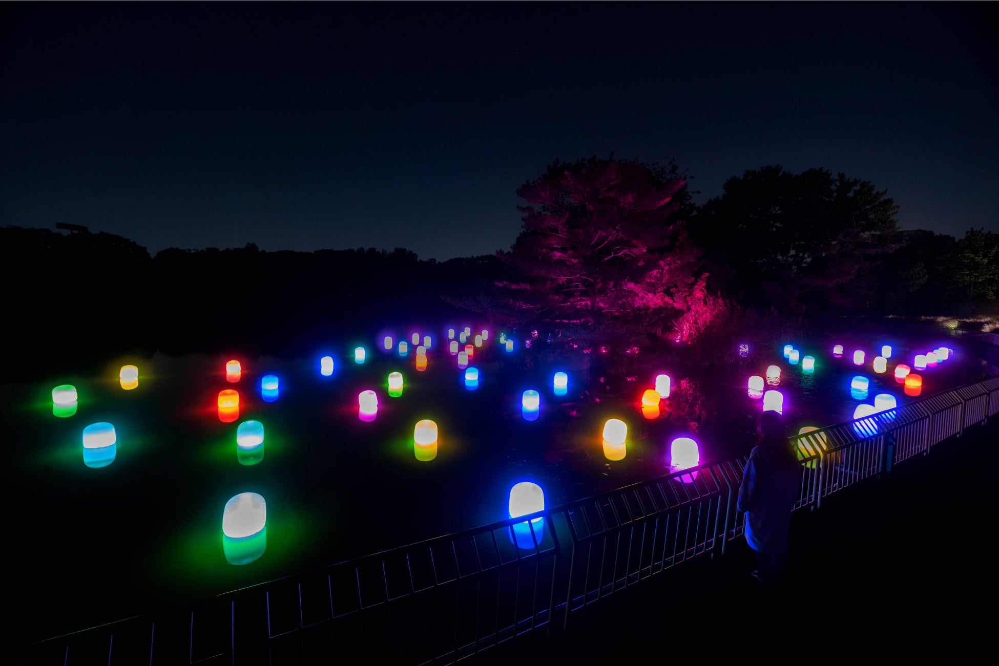 冬の期間限定で 色彩豊かに光り輝くランプが 12月1日から公開 チームラボ ボタニカルガーデン 大阪 長居 植物園 クリスマス 年末年始も休まずオープン チームラボのプレスリリース 冬の期間限定で 色彩豊かに光り輝くランプが 12月1日から公開 チームラボ ボタニカルガーデン 大阪 長居 植物園 クリスマス 年末年始も休まずオープン チームラボのプレスリリース