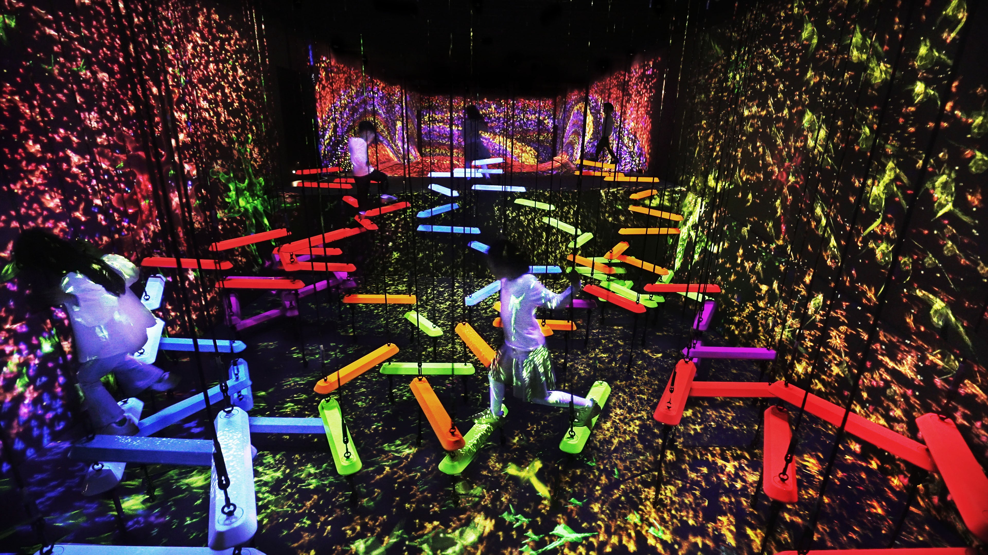 チームラボ《イロトリドリの群れの中のエアリアルクライミング》©チームラボ