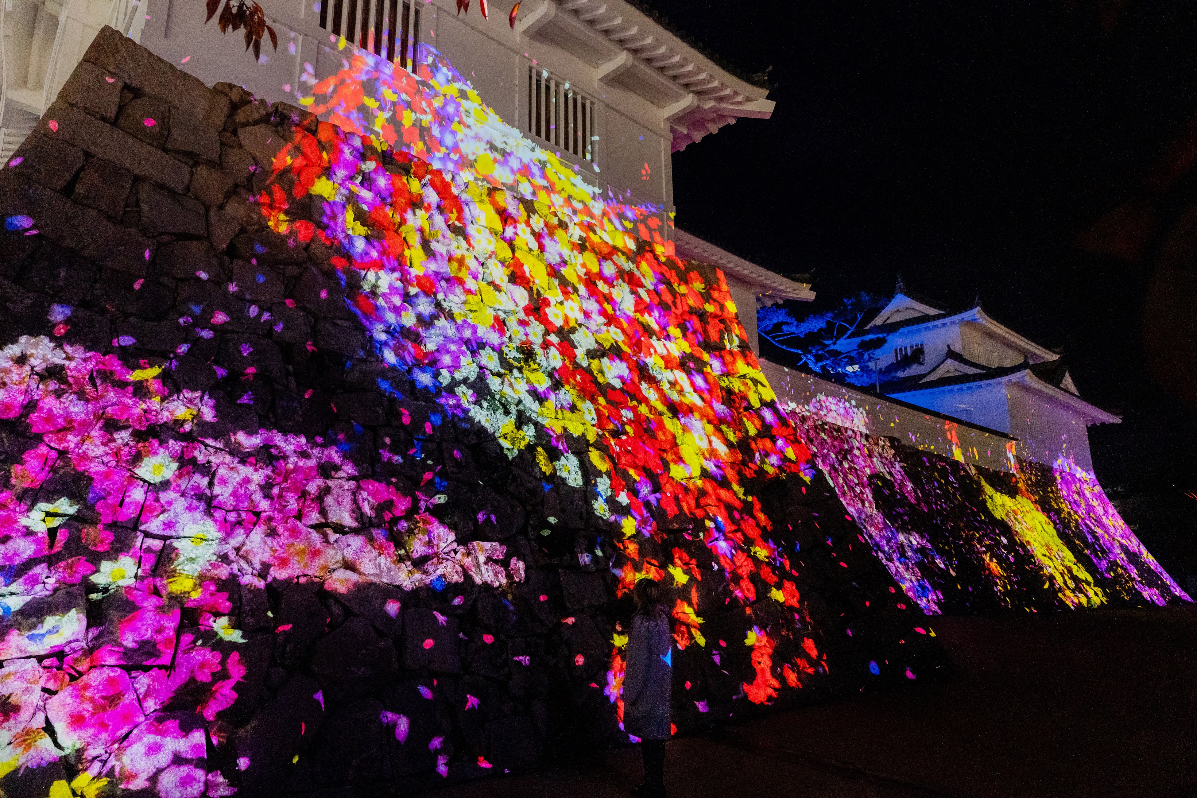 チームラボ《石垣に住まう花と共に生きる動物達》©チームラボ 
