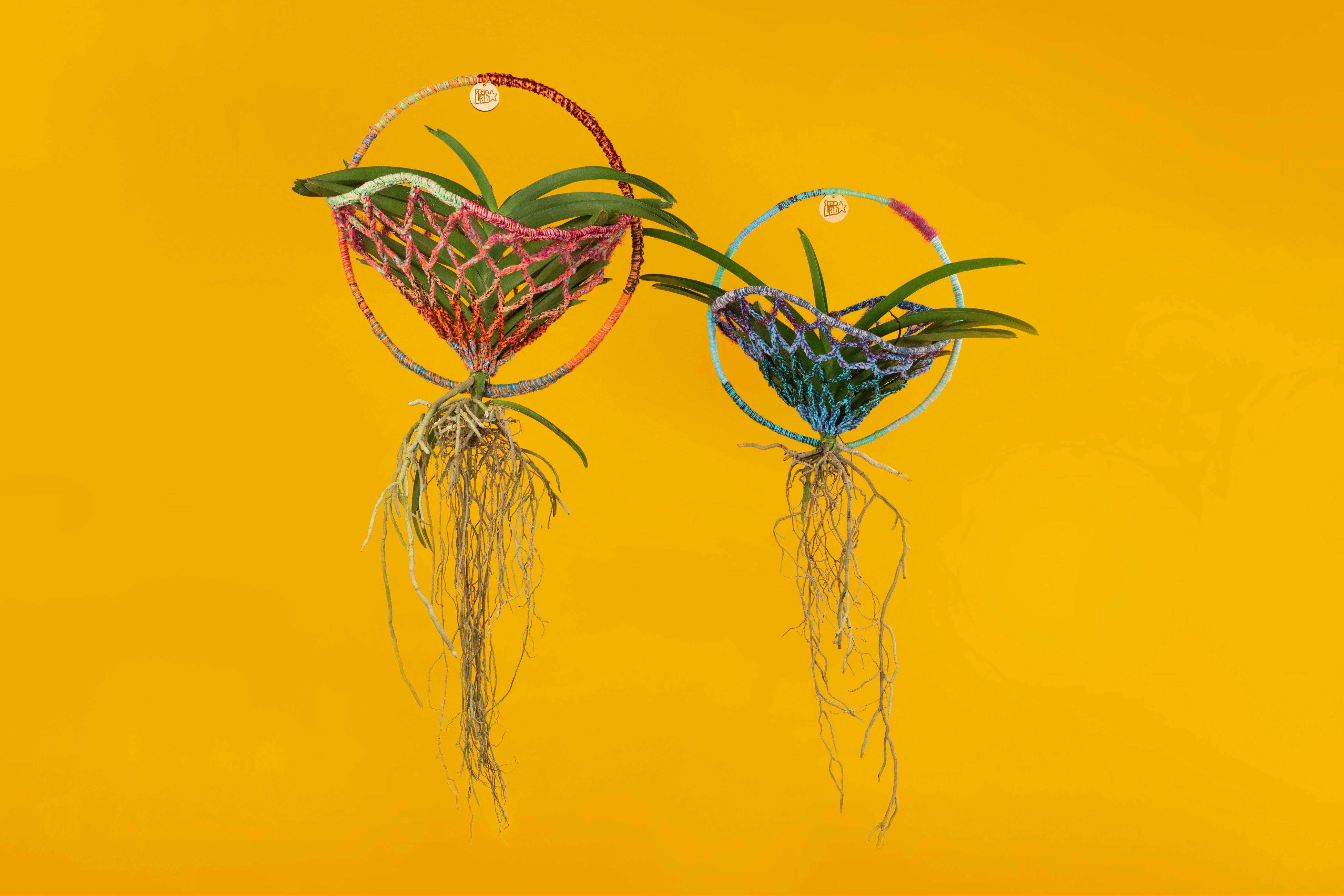 チームラボ「Living Knitted Sculpture」 ©チームラボ