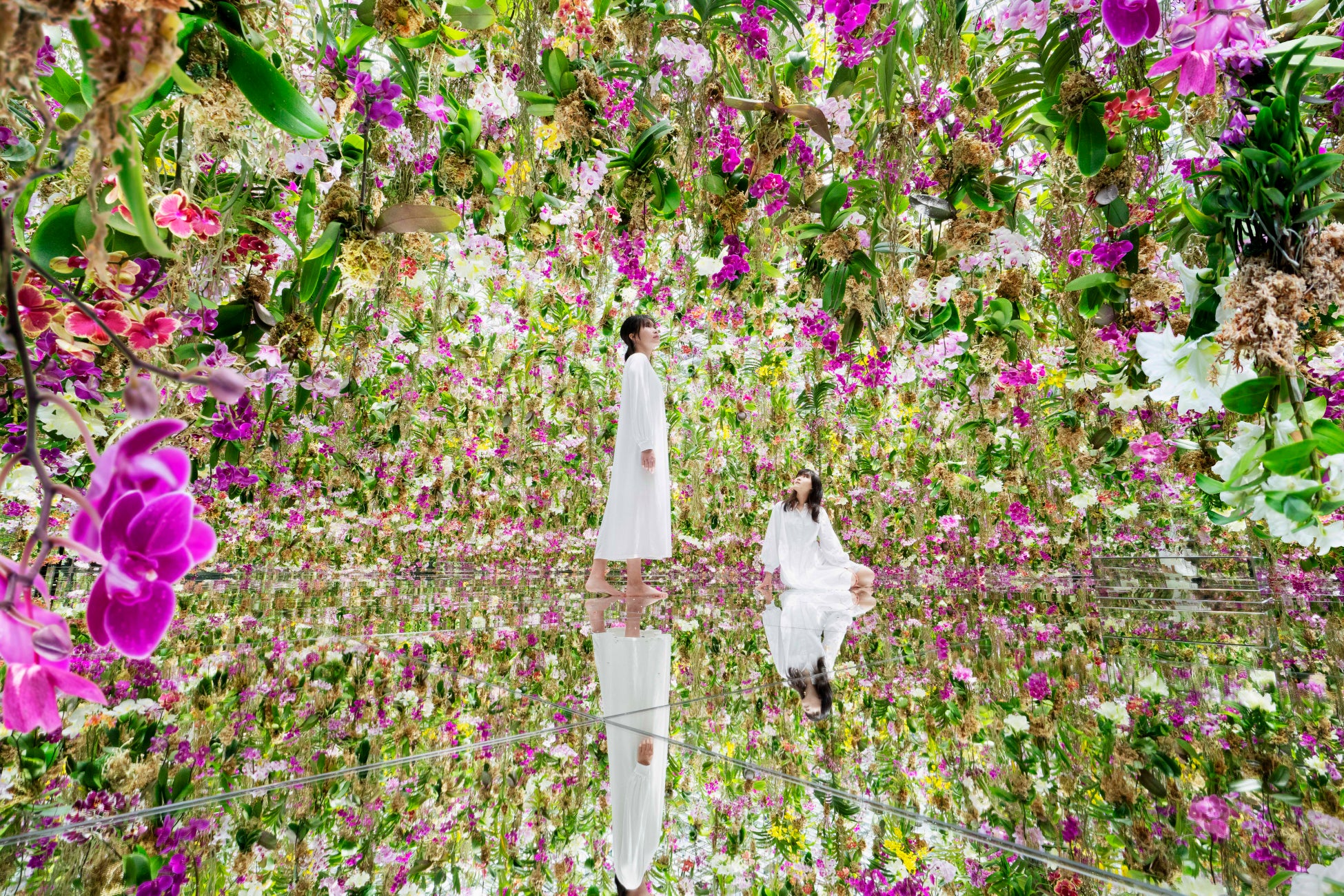 チームラボ《Floating Flower Garden:花と我と同根、庭と我と一体》©️ チームラボ