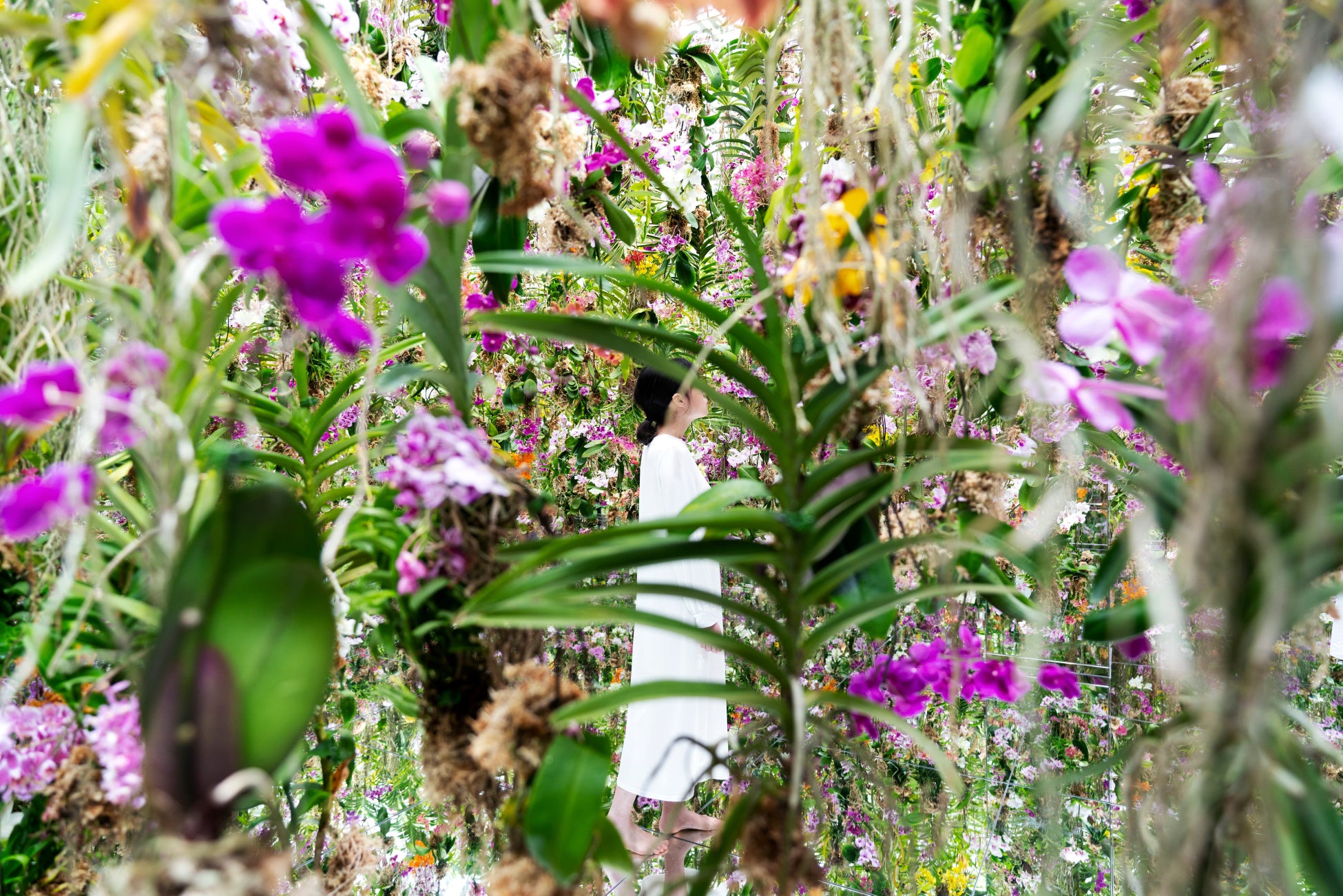 チームラボ《Floating Flower Garden:花と我と同根、庭と我と一体》©️ チームラボ
