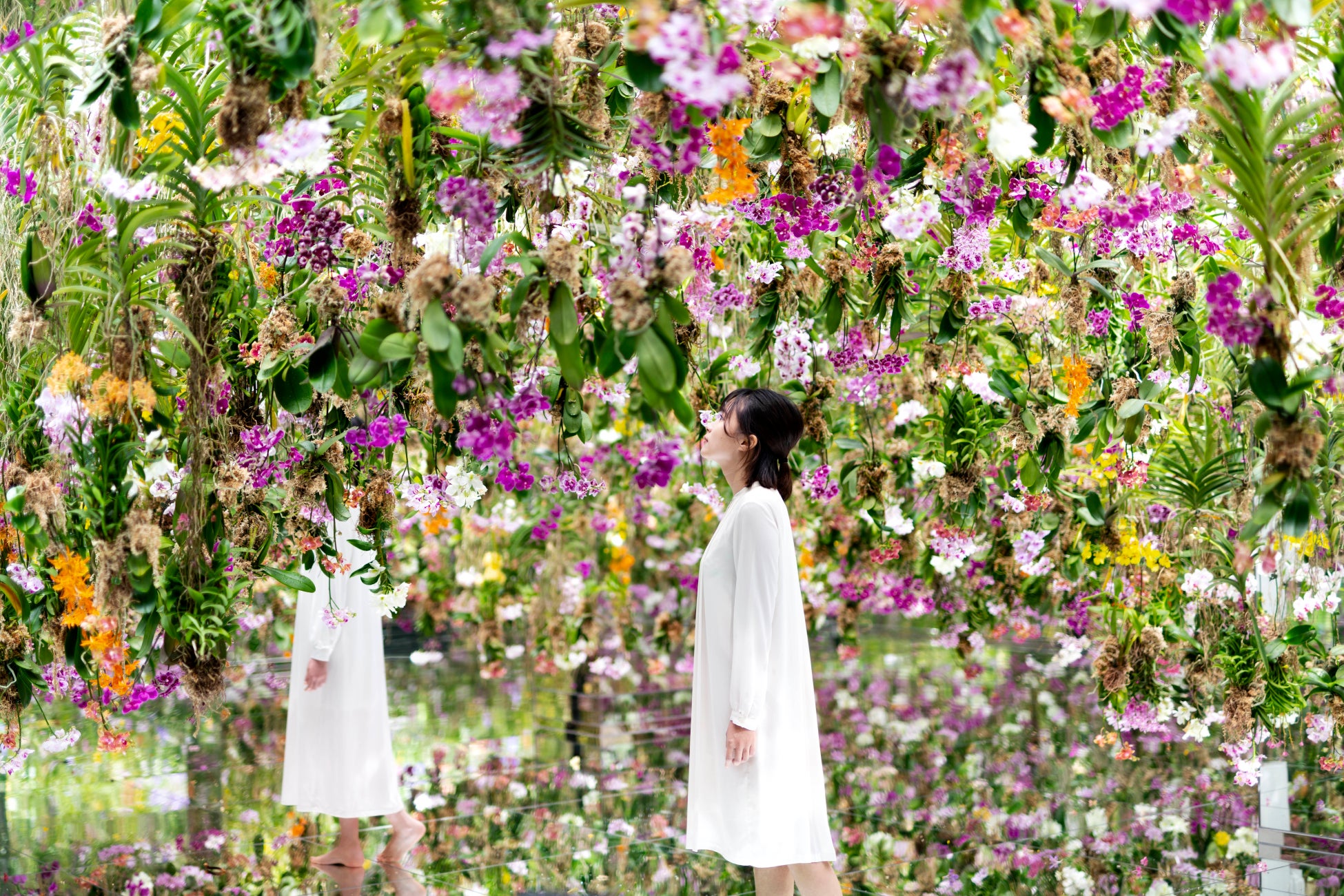 チームラボ《Floating Flower Garden:花と我と同根、庭と我と一体》©️ チームラボ