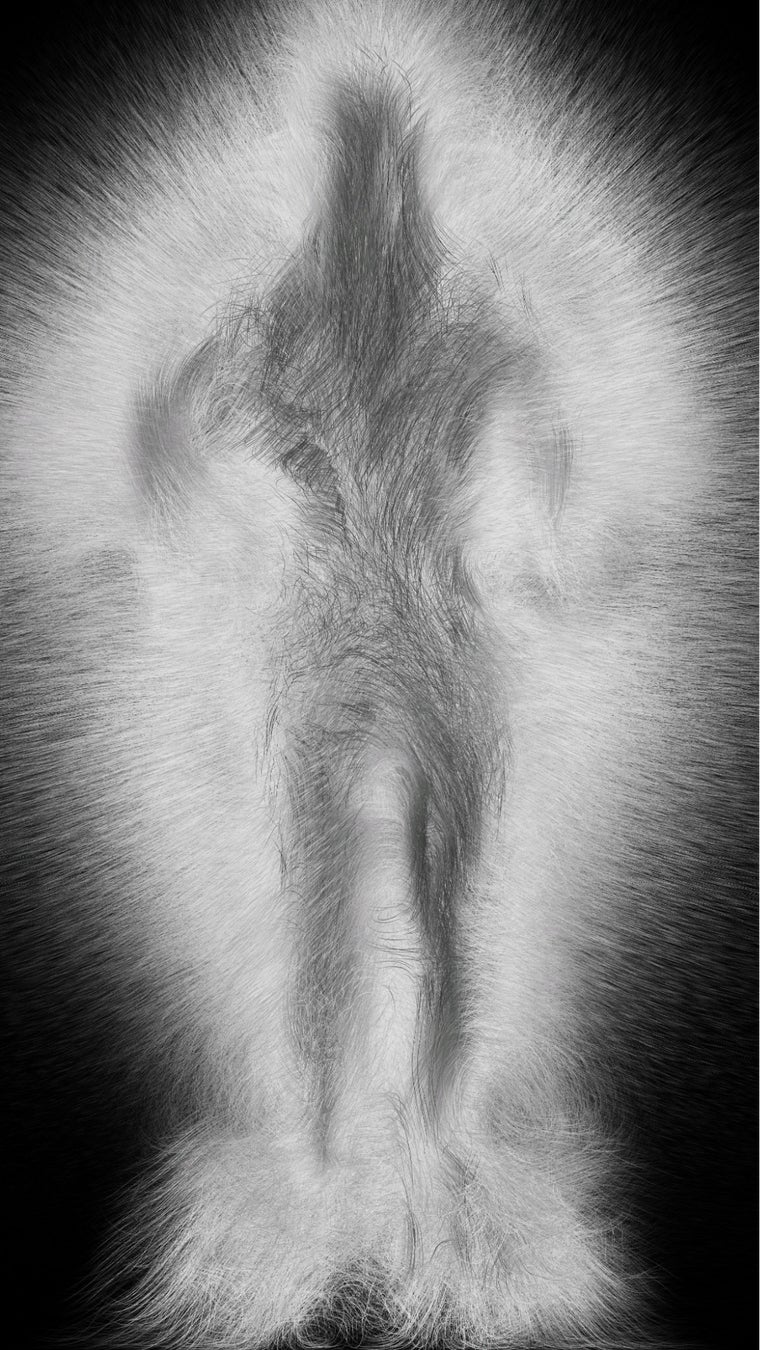 チームラボ《Dissipative Figures – Human, Light in Dark》© チームラボ ※前期展示