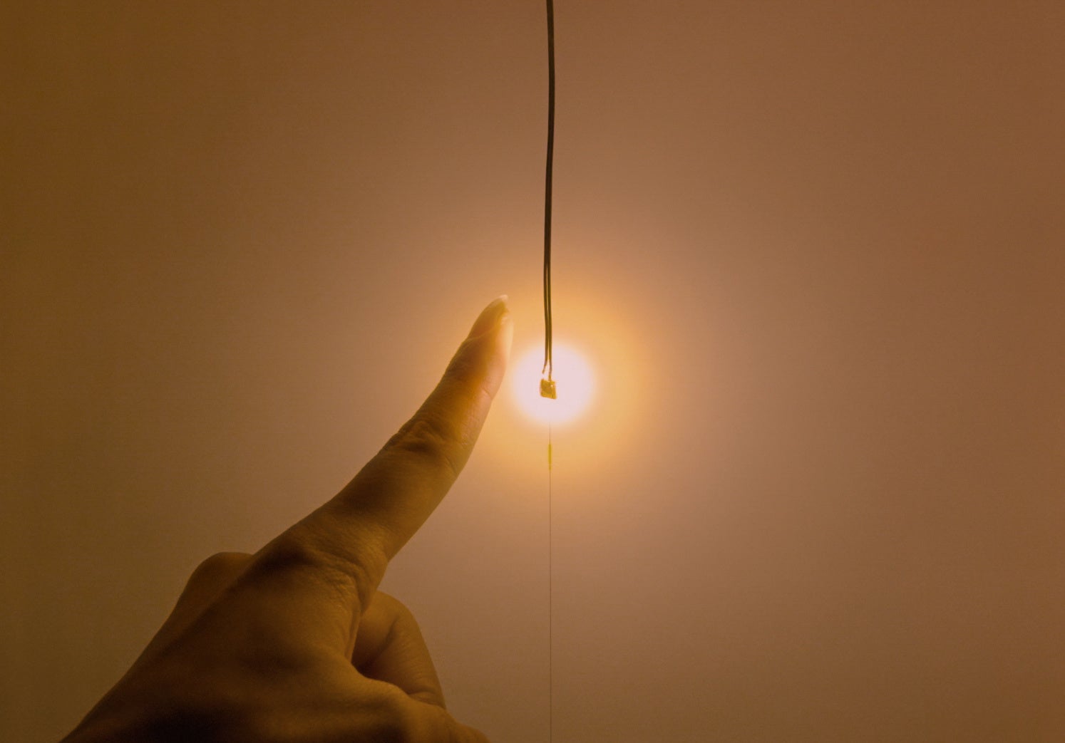 チームラボ《質量のない太陽、出現した空間の境界面》© チームラボ