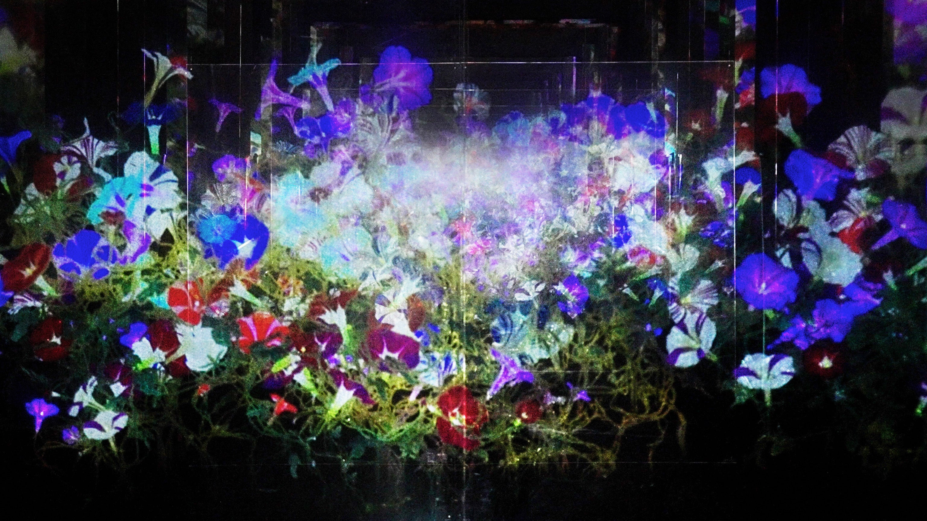 チームラボ《積層された空間に増殖する無量の生命》© チームラボ