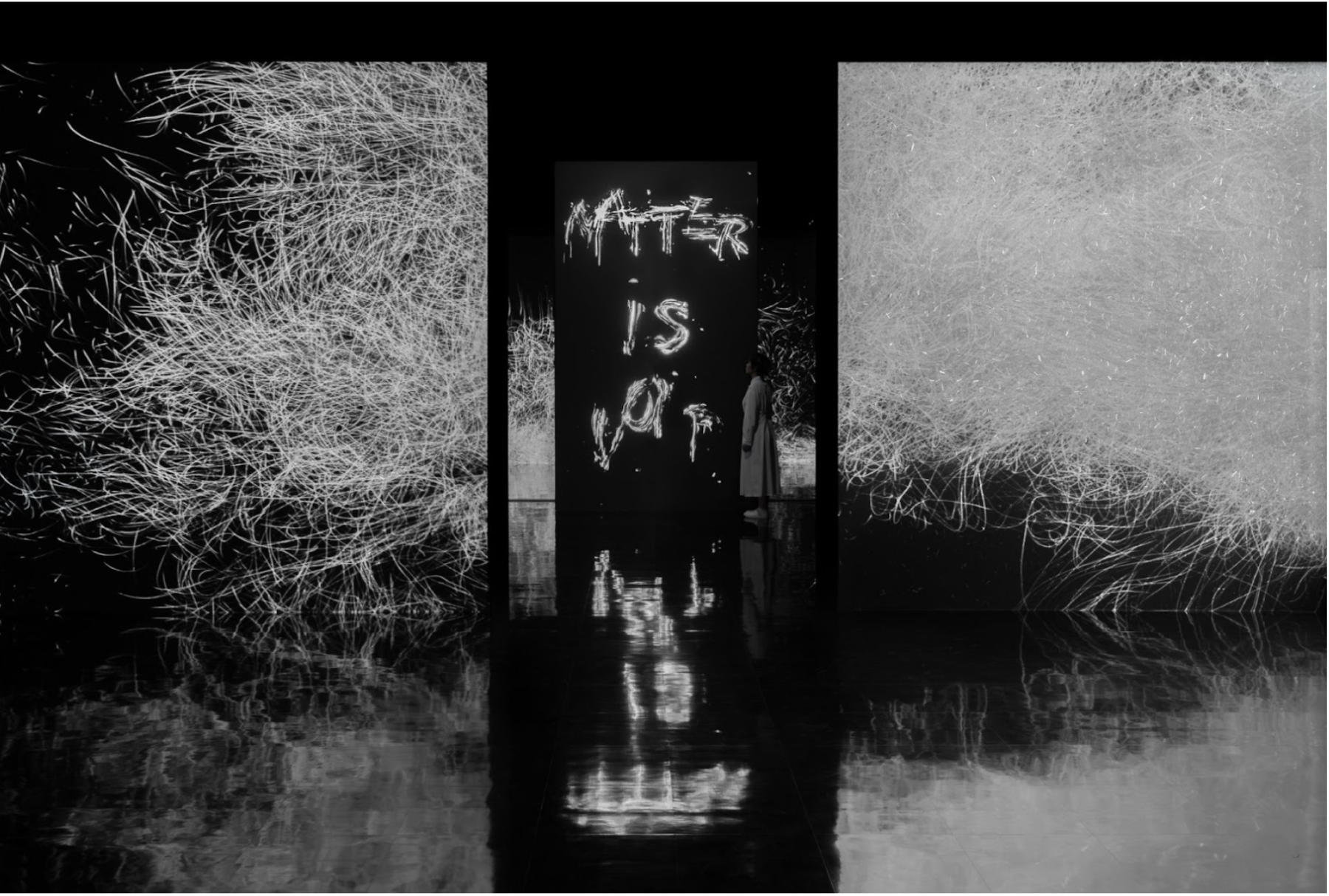 チームラボ《Dissipative Figures – 1000 Birds, Light in Dark》《Matter is Void - Fog》© チームラボ ※後期展示