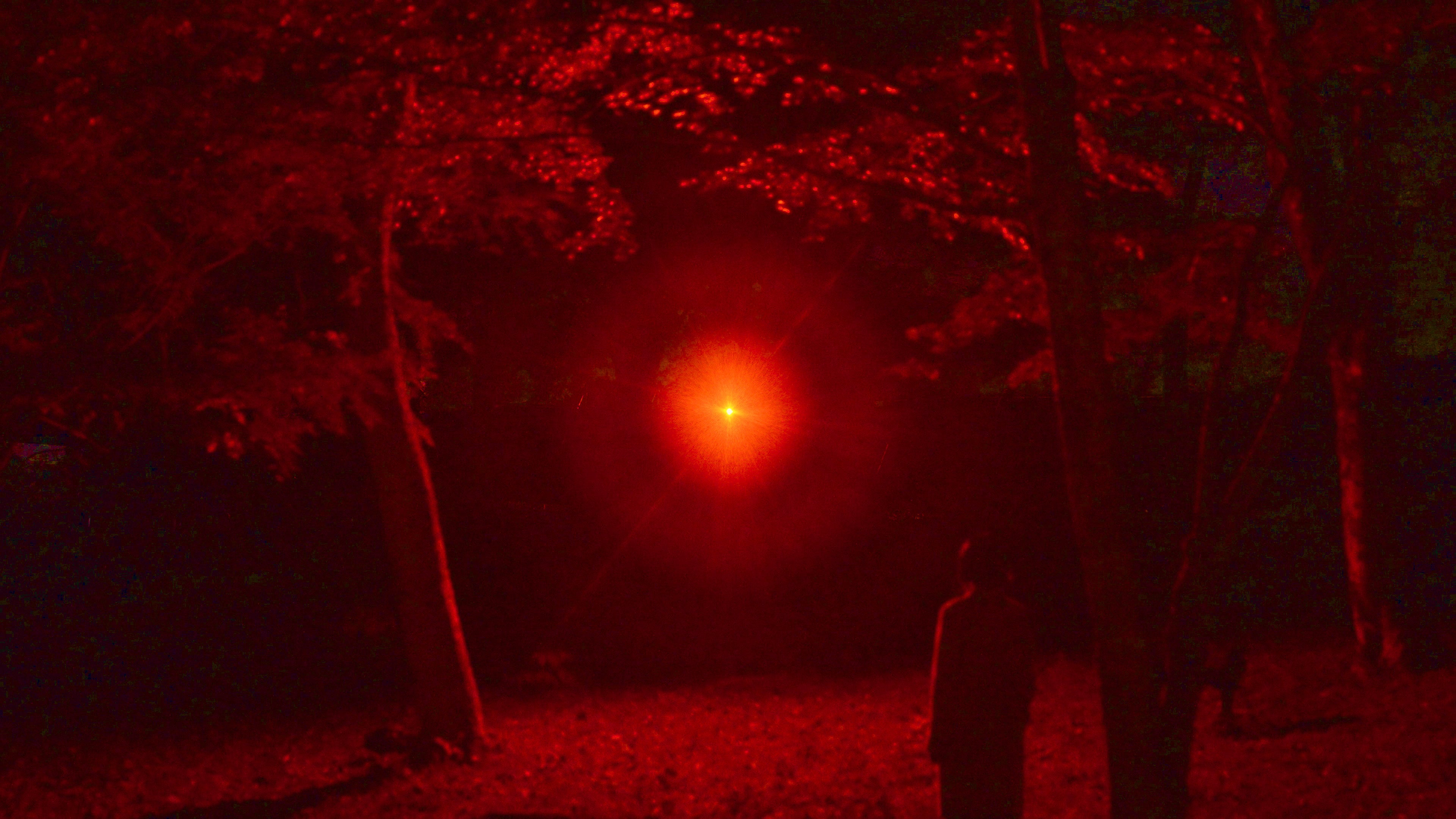 無数の線の集合による球体。細い光の線は、中心から放射状に無数に広がり、球体を形作る。光源は動かないが、無数の線はうごめき続ける。チームラボ《我々の中にある巨大火花》© チームラボ