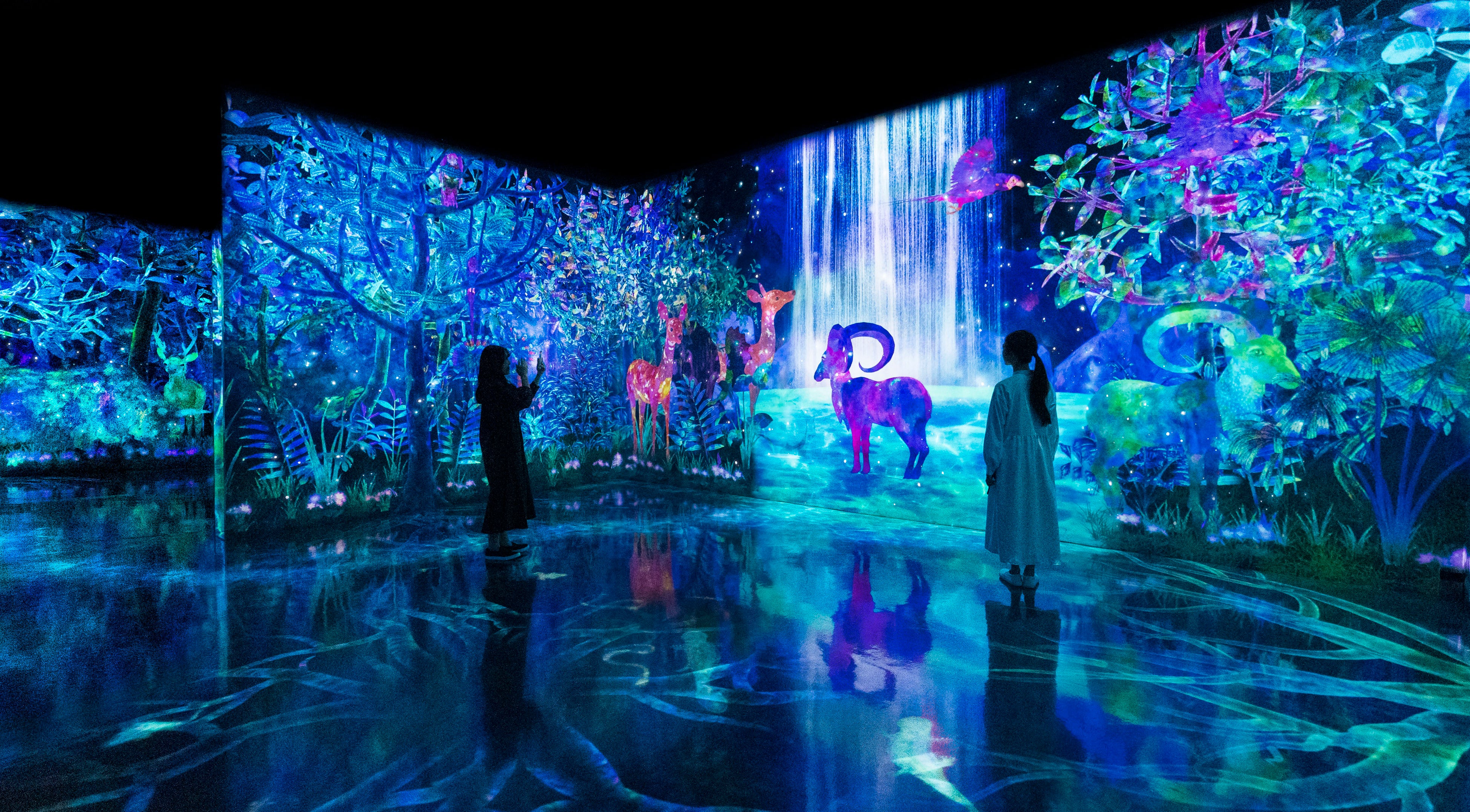 チームラボ《捕まえて集める森 - A Whole Year per Year》©チームラボ