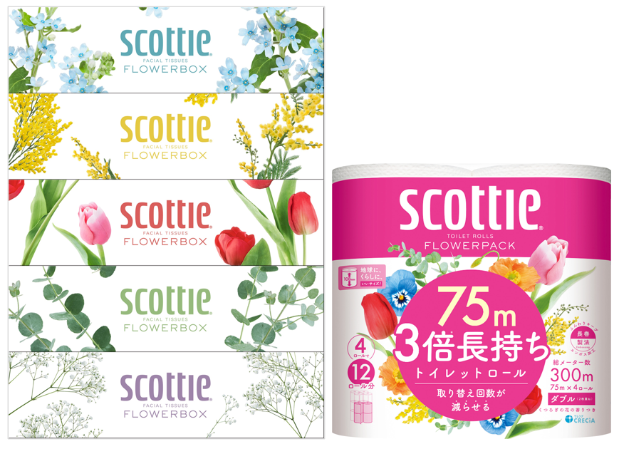 （まとめ） 日本製紙クレシア スコッティフラワー2倍巻き W 12ロール×4P〔×3セット〕