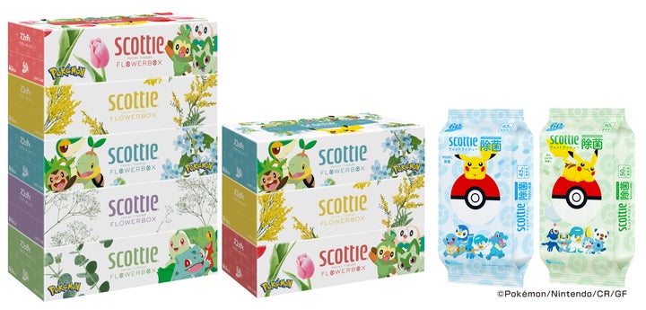 ポケモン ティッシュ箱 3箱セット ポケモン ティッシュ箱 3箱セット ポケモン ティッシュ箱 3箱セット ポケモン ティッシュ箱 3箱セット