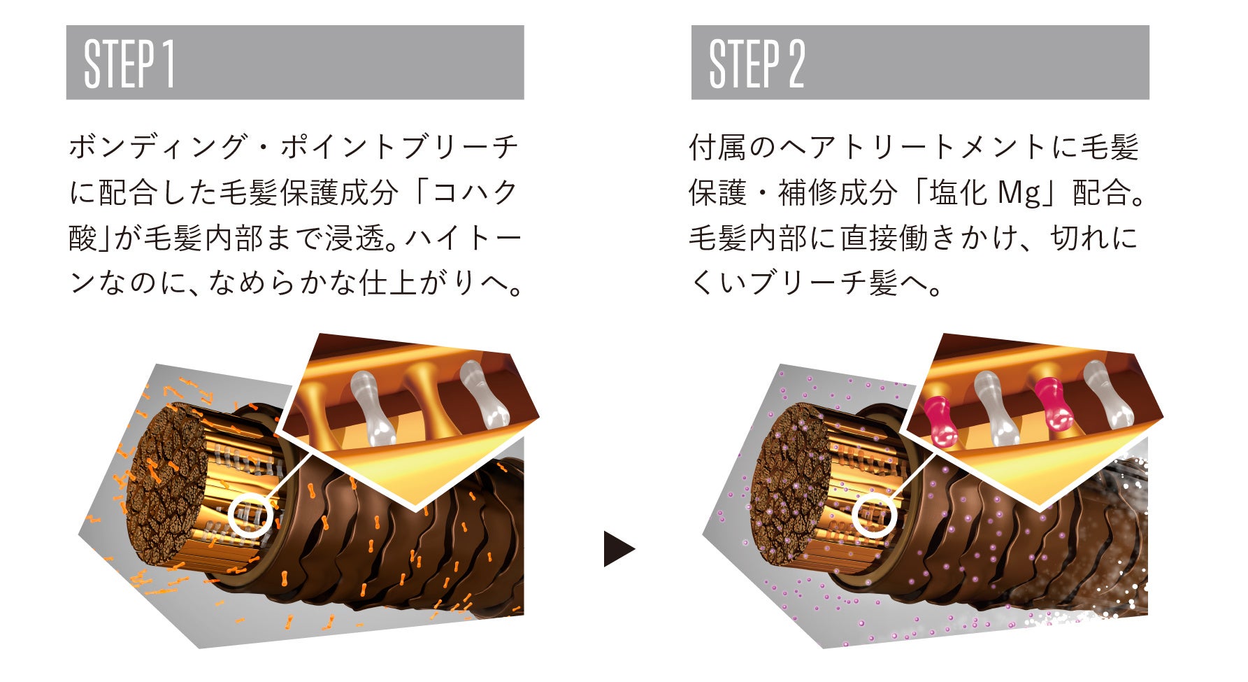 ♯Gbr17BAブリーチリアルコレクション2フルコンプ全6種 ♯Gbr17BAブリーチリアルコレクション2フルコンプ全6種