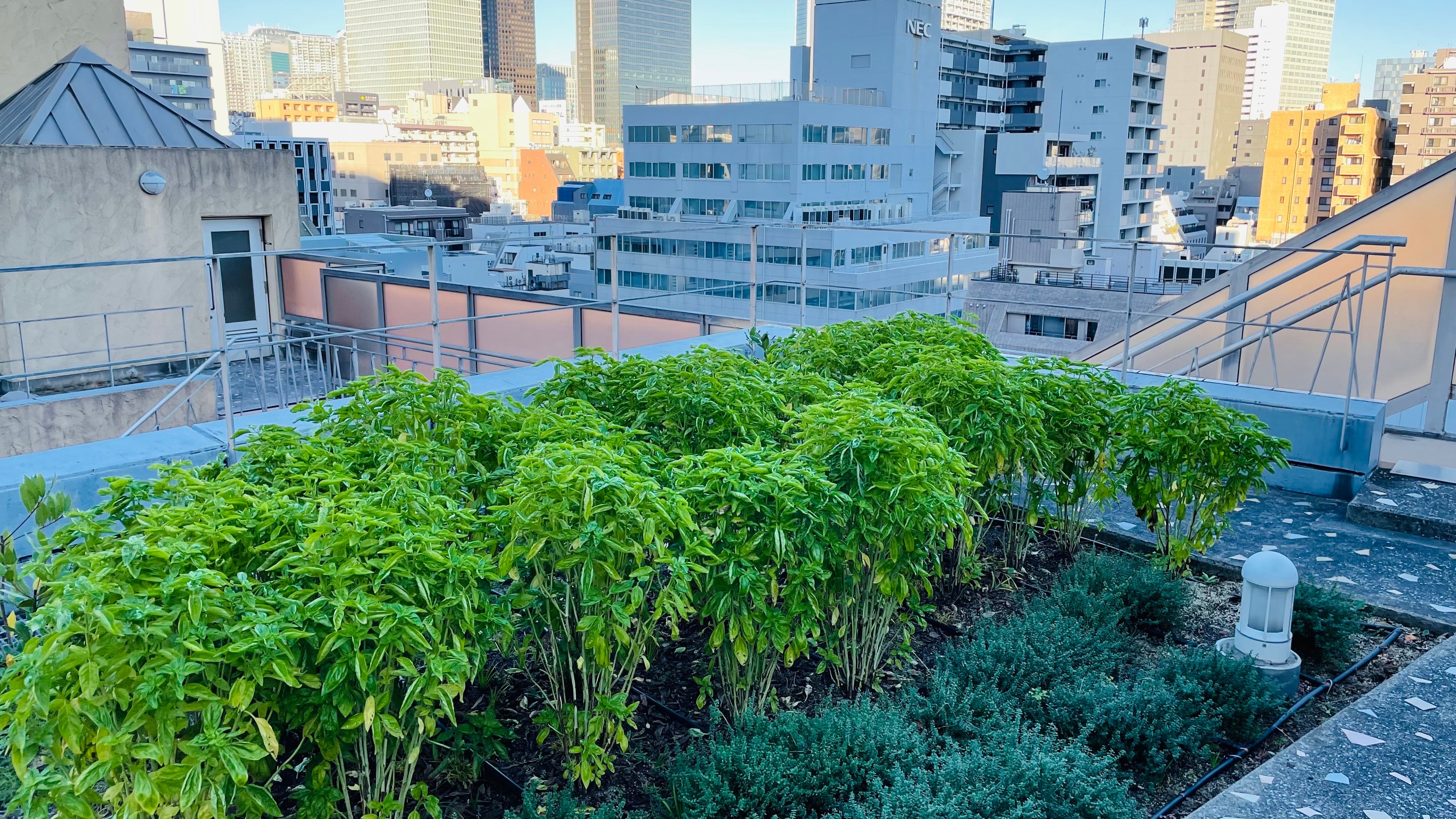 ©︎XeroJapan, Inc.