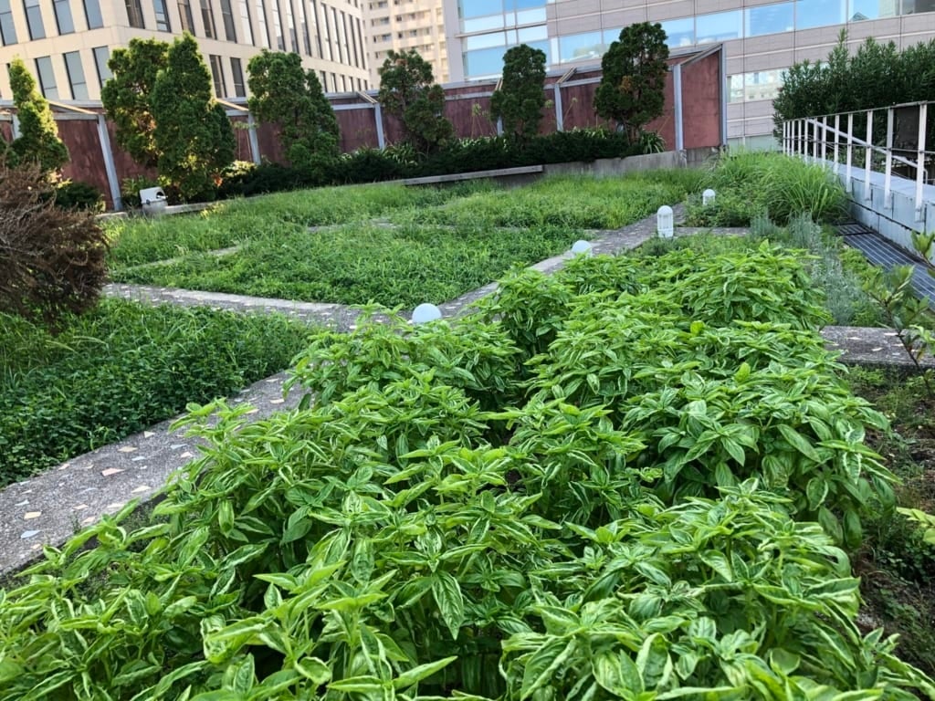 ©︎XeroJapan, Inc.