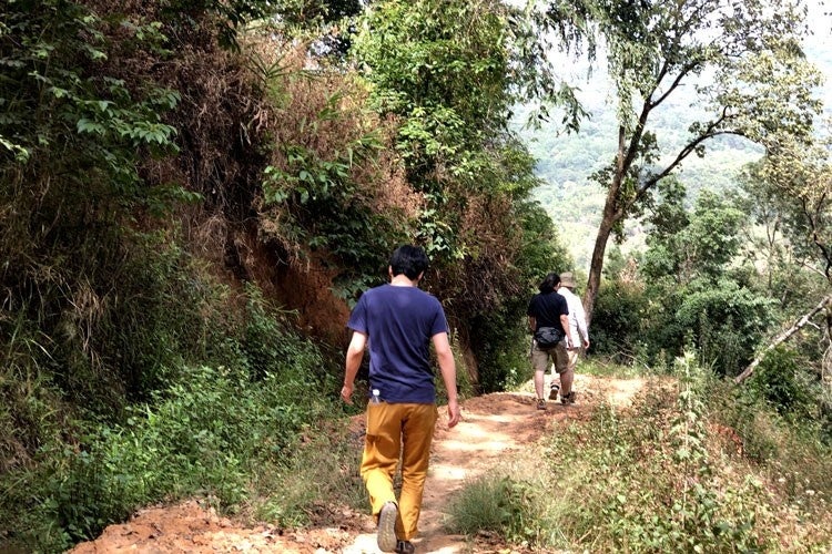天空農園の様子