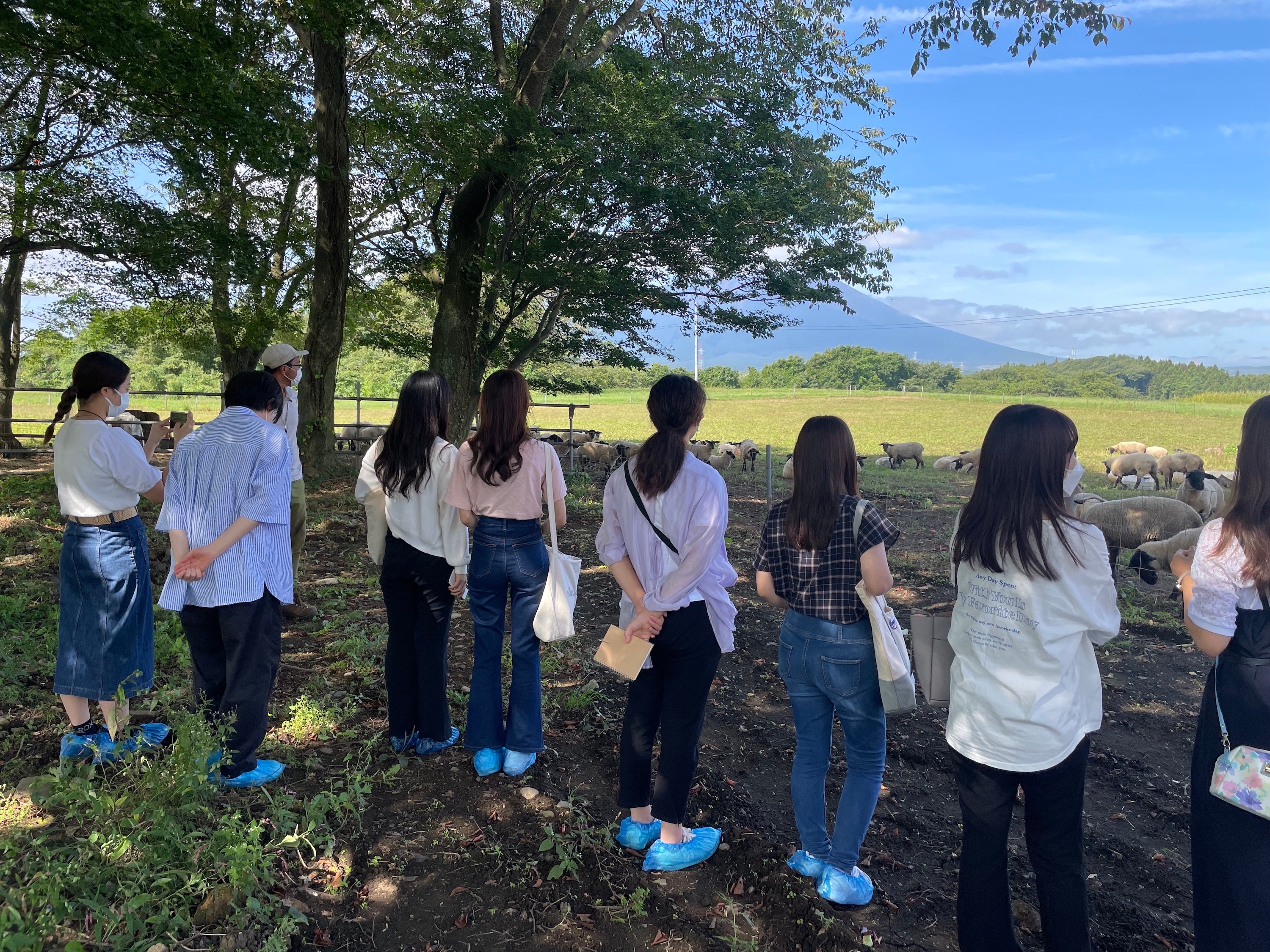 いわて羊の牧場を見学する学生