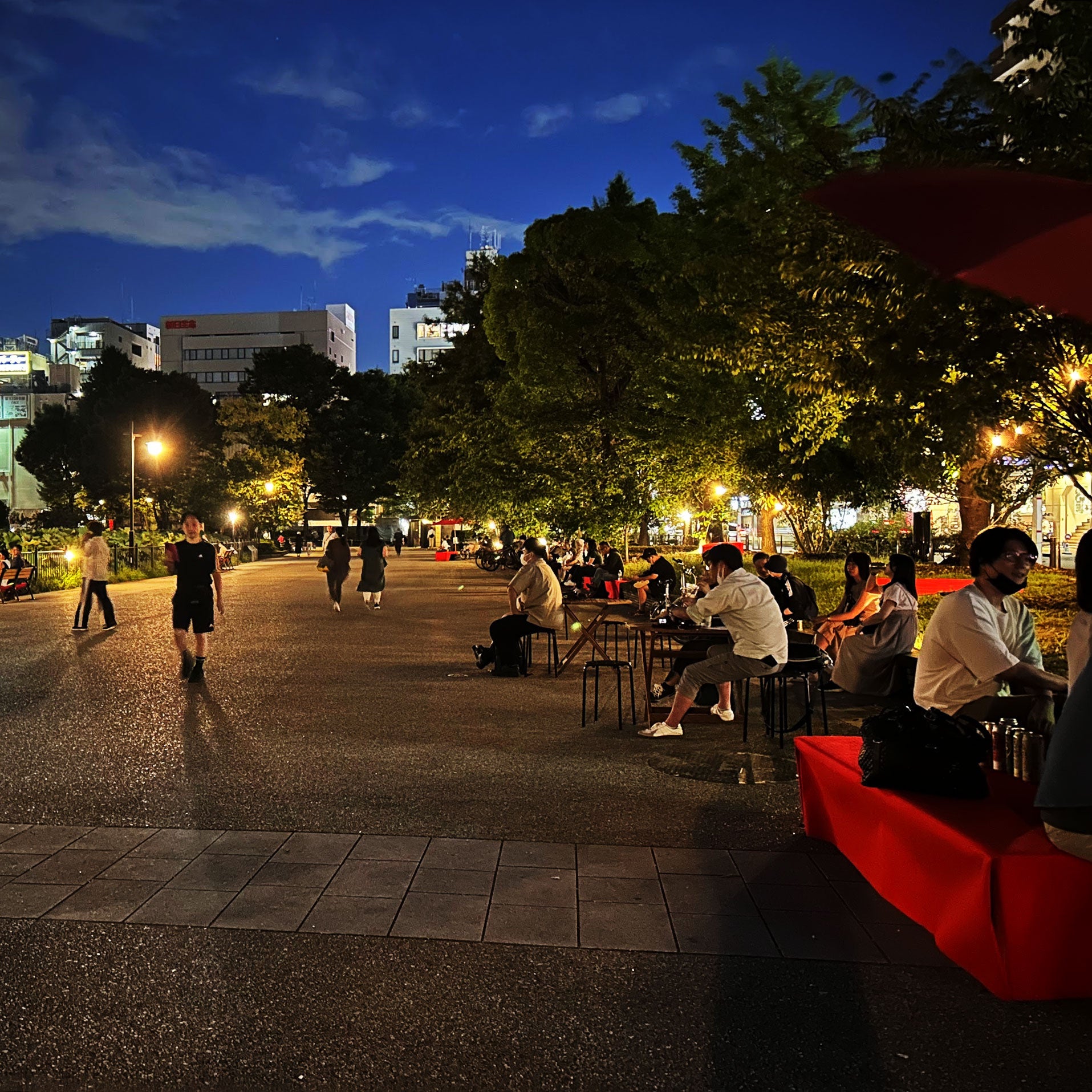 池のほとりのライティングも