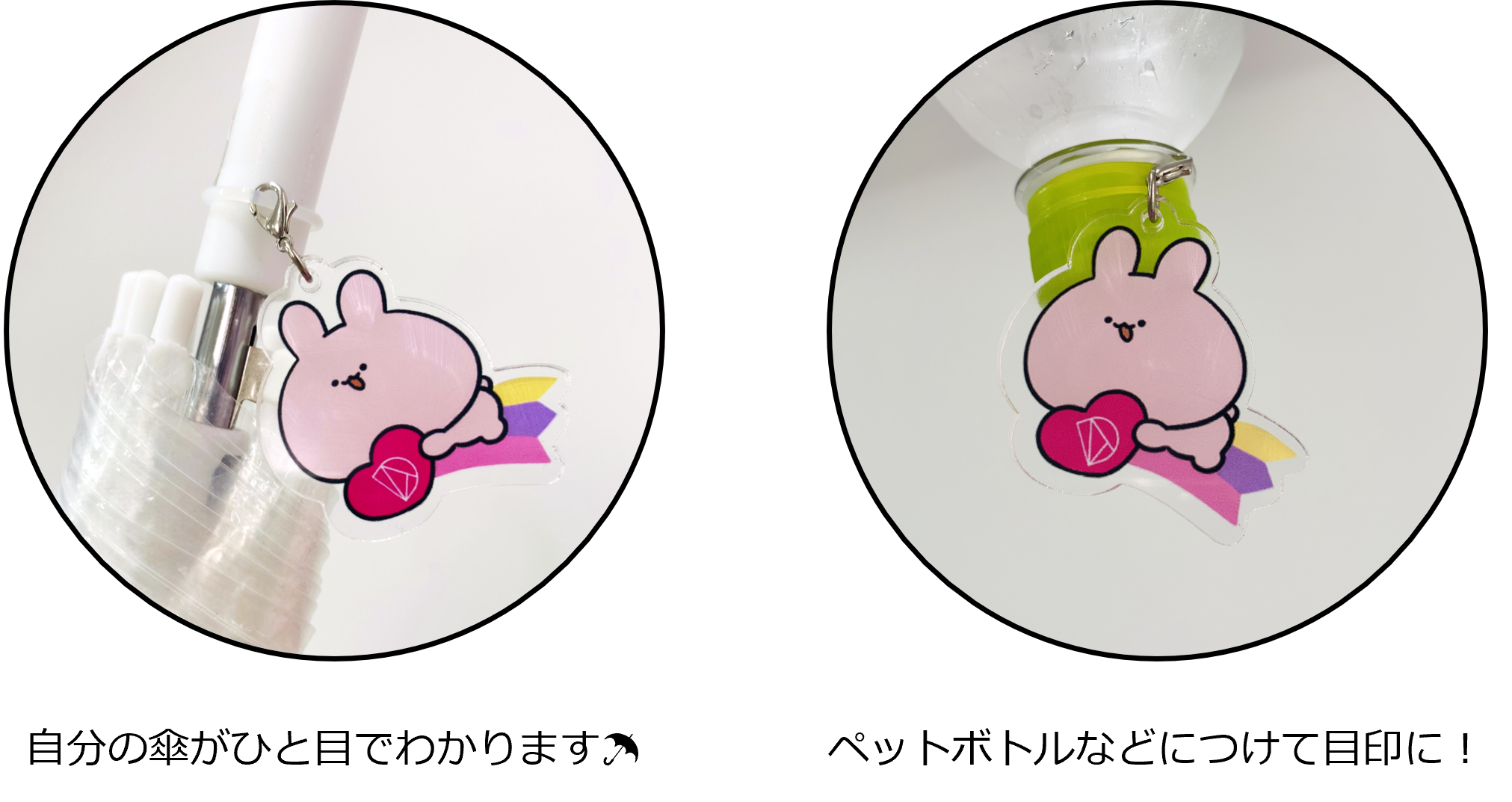 TikTokマスコット部門フォロワー数日本一『あさみみちゃん × DASHING