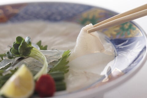 国産高級とらふぐの「泳ぎてっさ」を１円でご堪能