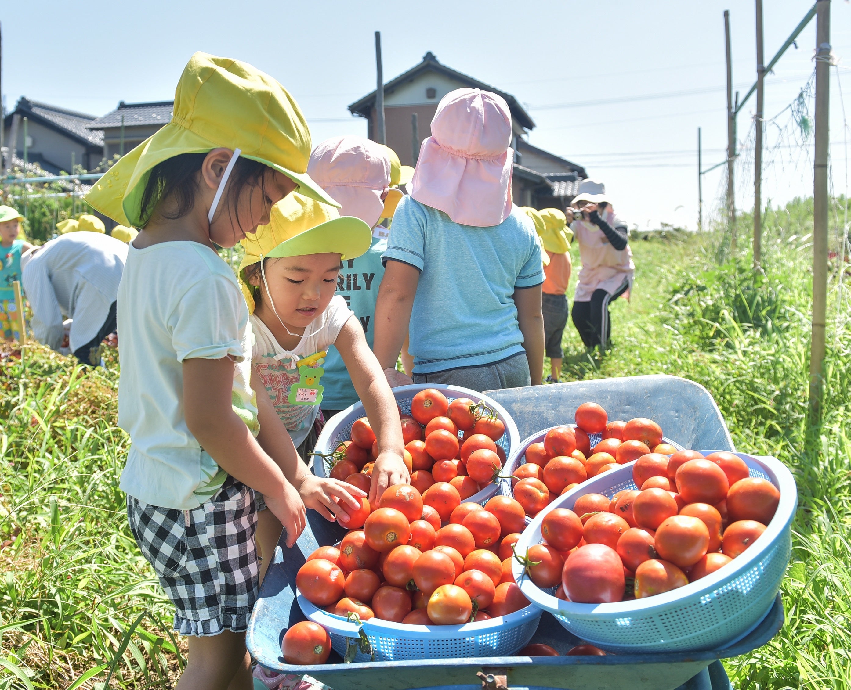 りりこわくわくプログラム