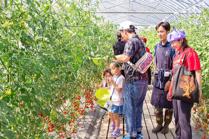 カゴメ野菜生活ファーム富士見