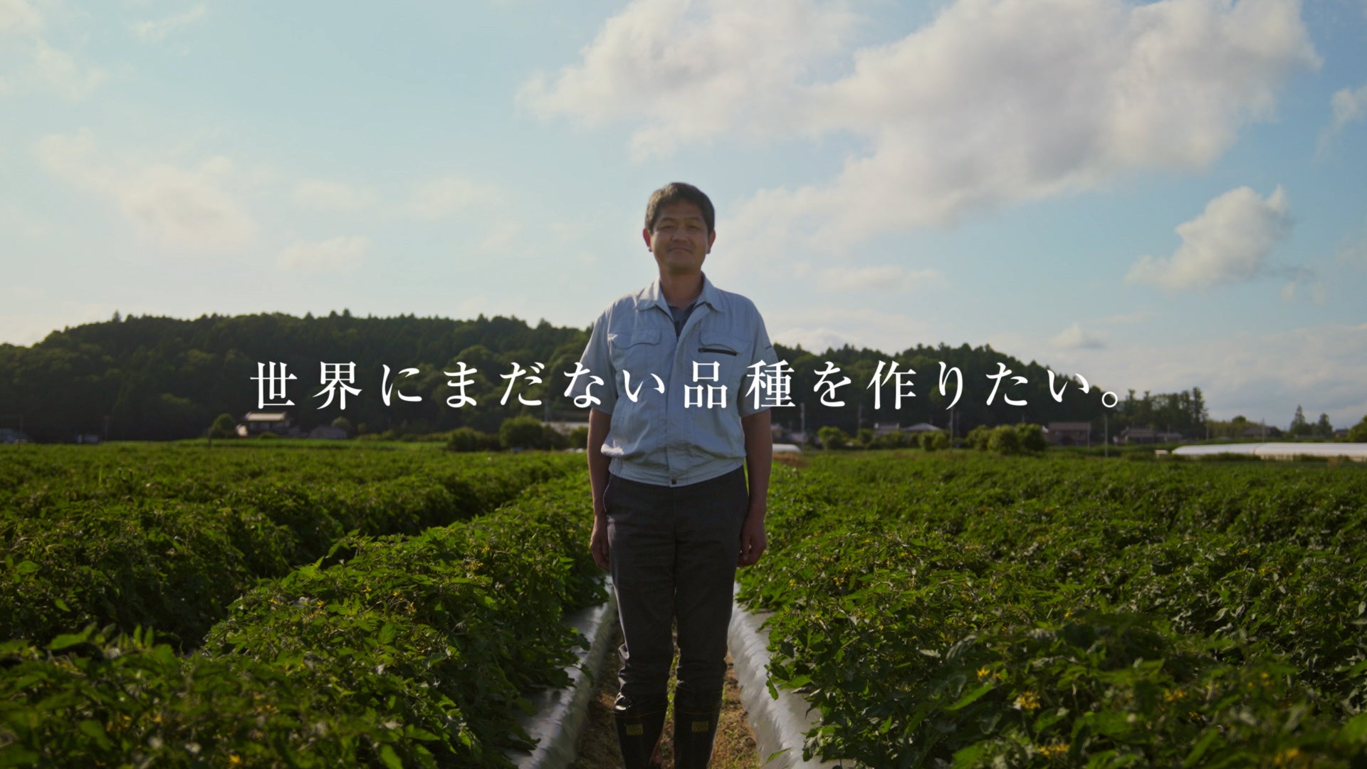 4　世界にまだない品種を作りたい。