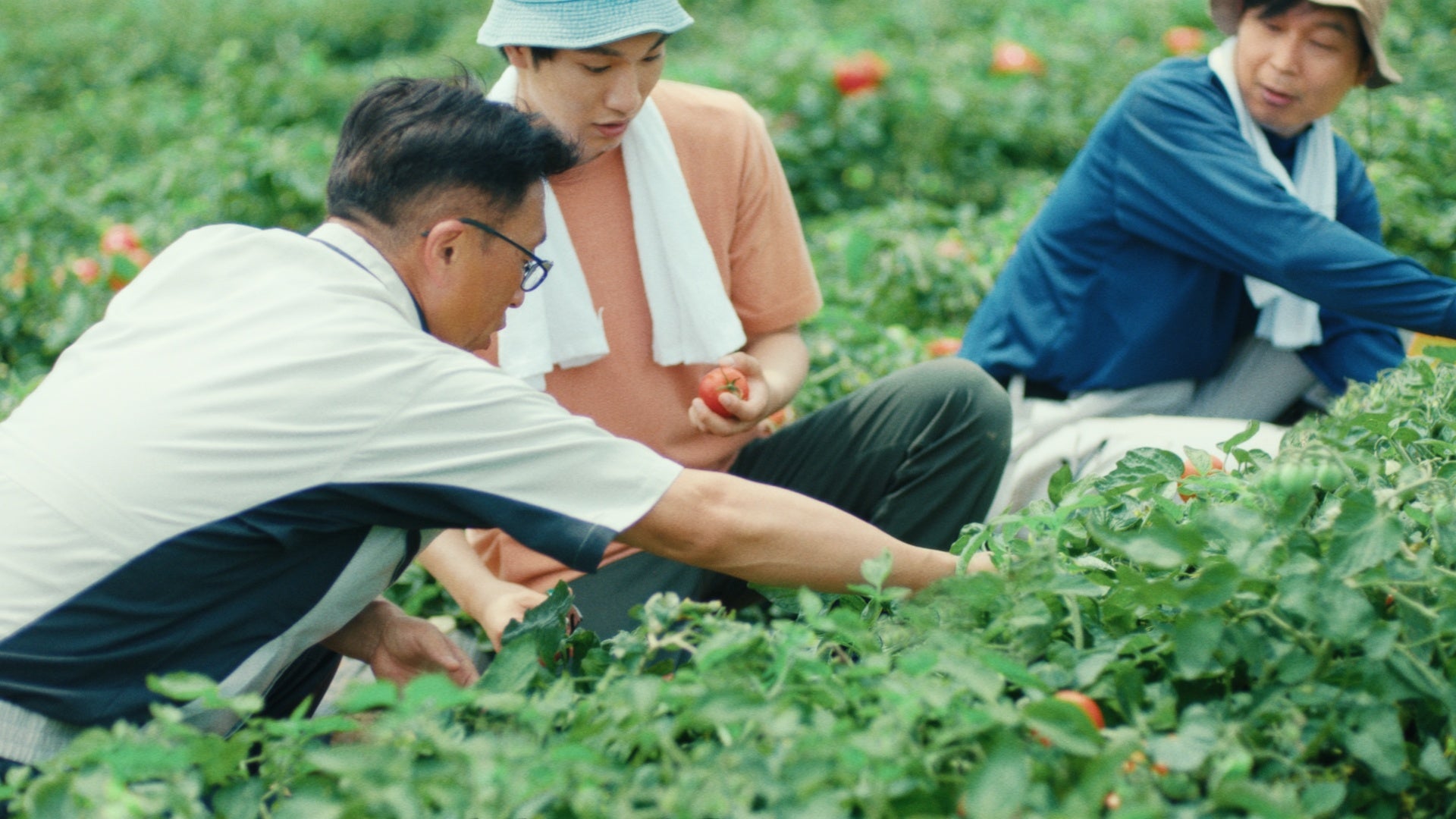 5　ボク「畑は思いのほかデカかった…」