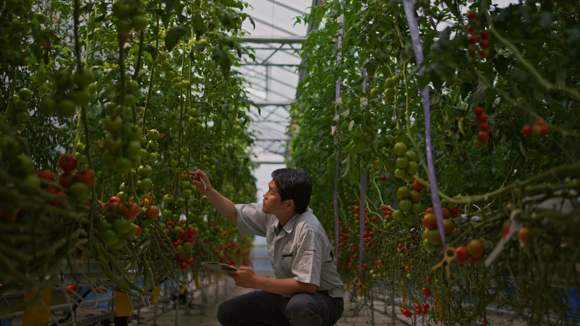 5　『終わりがないから、わくわくできる。』