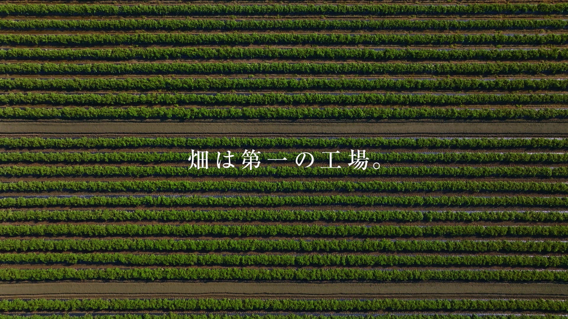 1　畑は第一の工場。