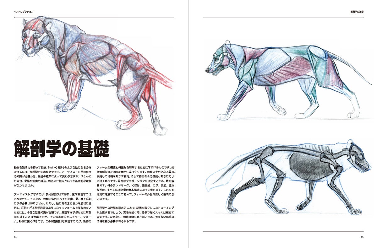 約50体の多様な動物を写真とイラストで網羅！動物を描く秘訣が詰まった