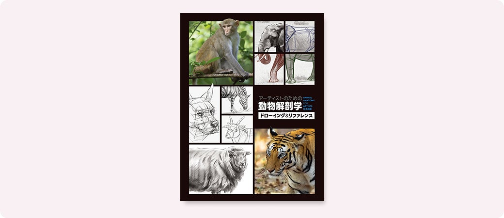約50体の多様な動物を写真とイラストで網羅！動物を描く秘訣が詰まった