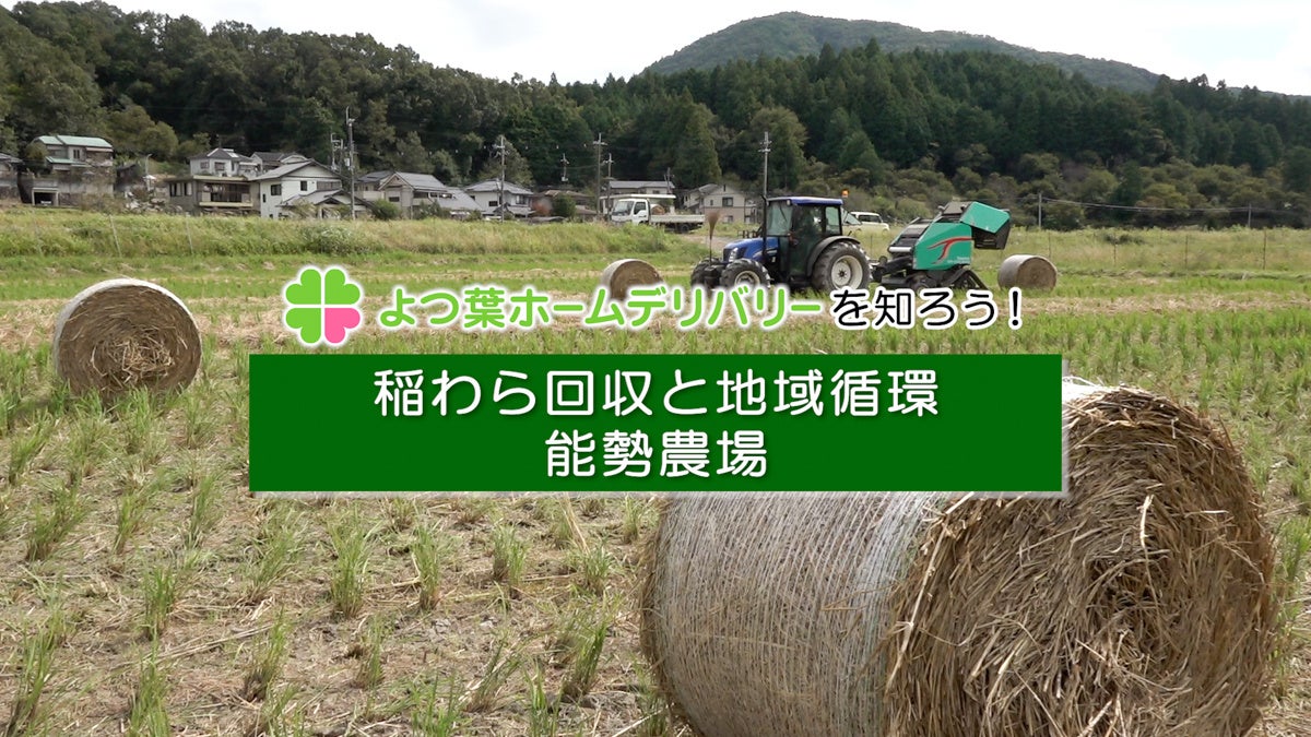 よつ葉HDチャンネル