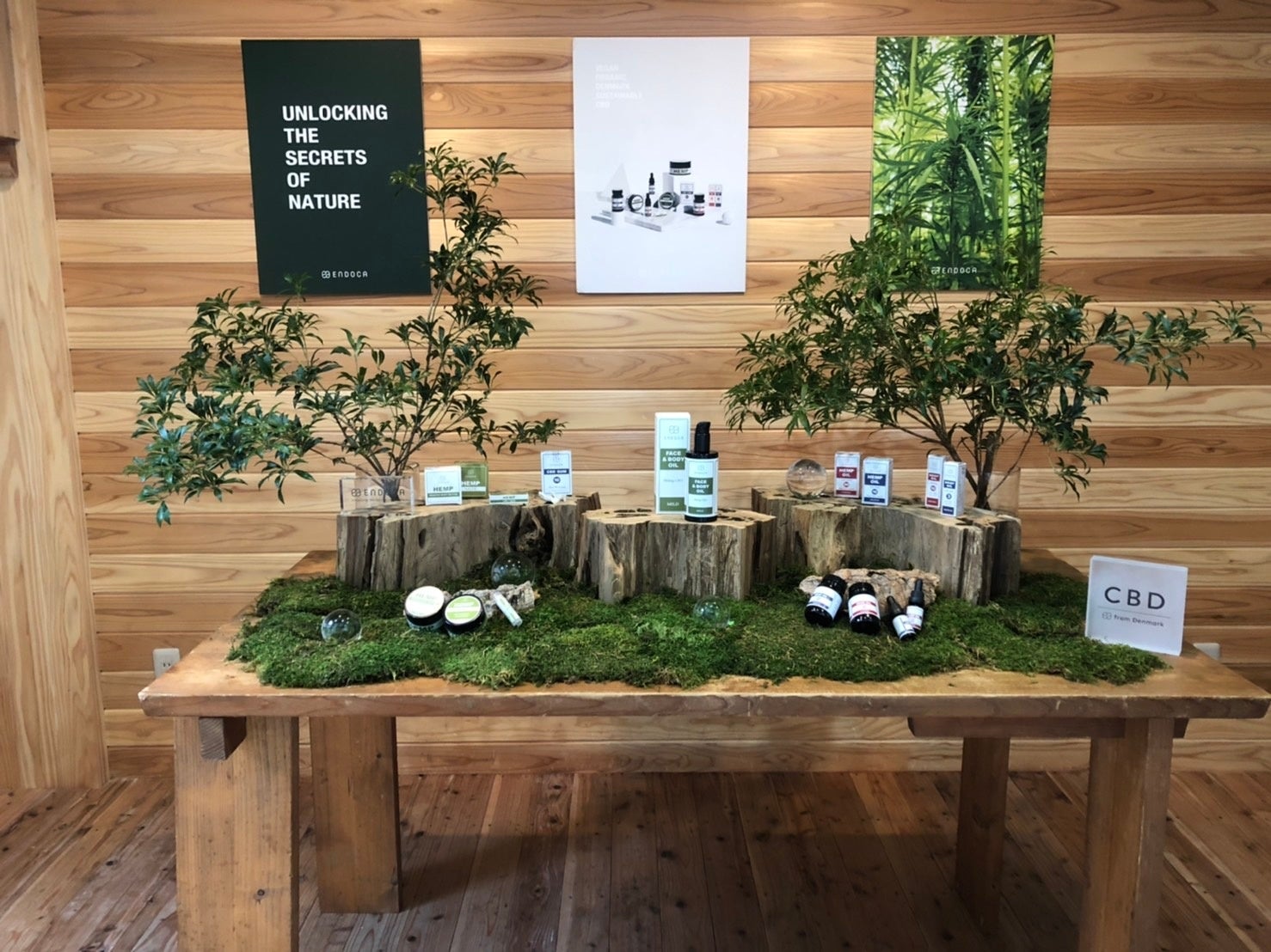 ENDOCA　ポップアップ（イメージ）