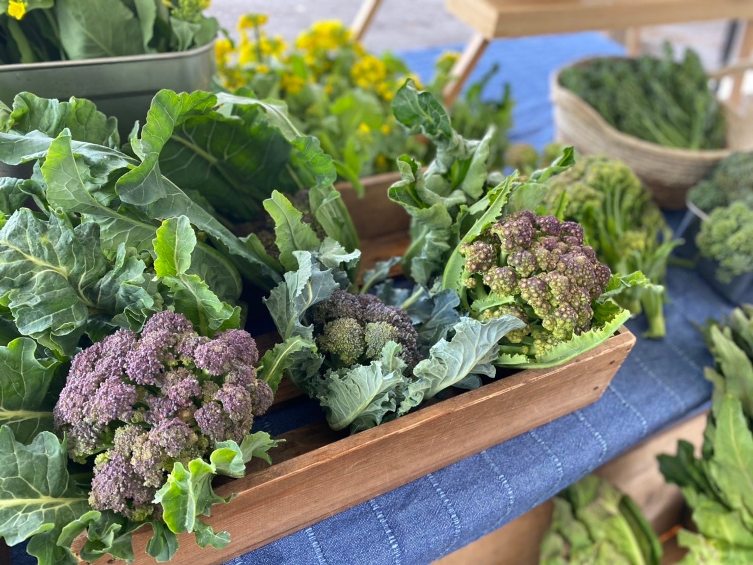 ※画像はイメージです。