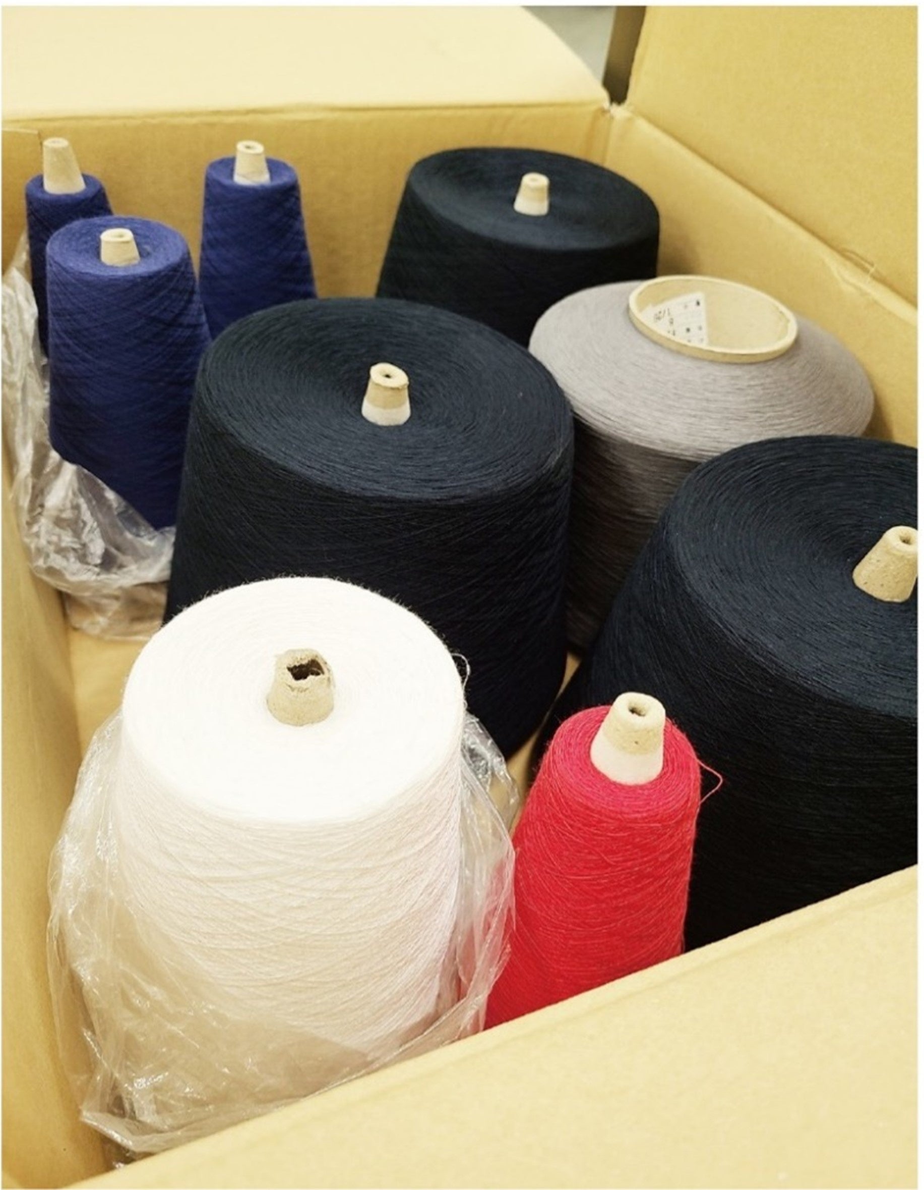 ※画像はイメージです。