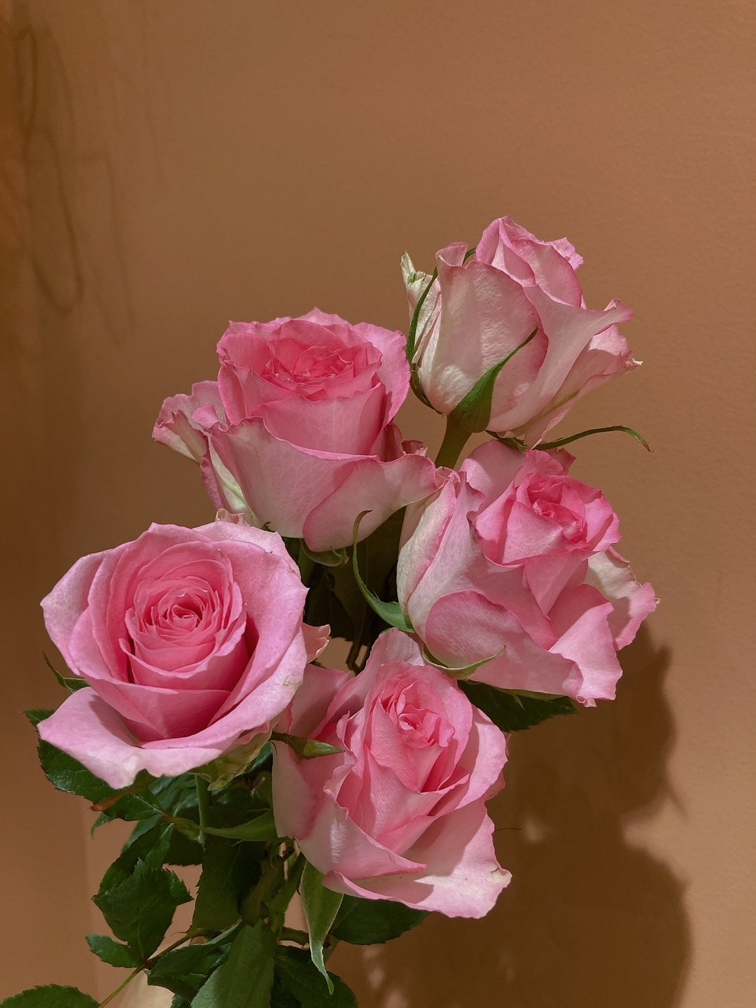 ※画像はイメージです。