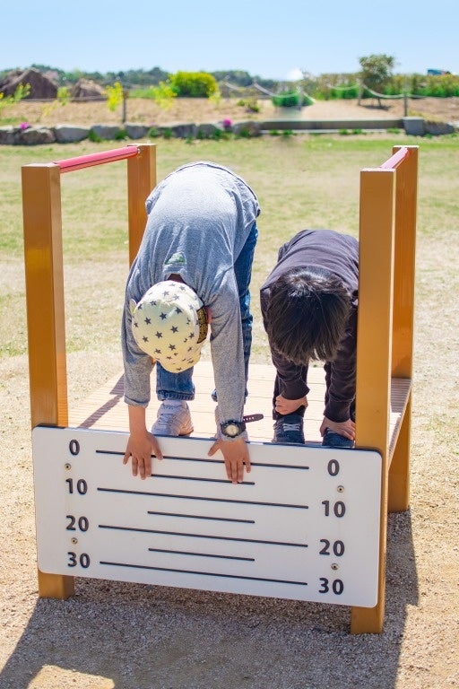 ※画像はイメージです。