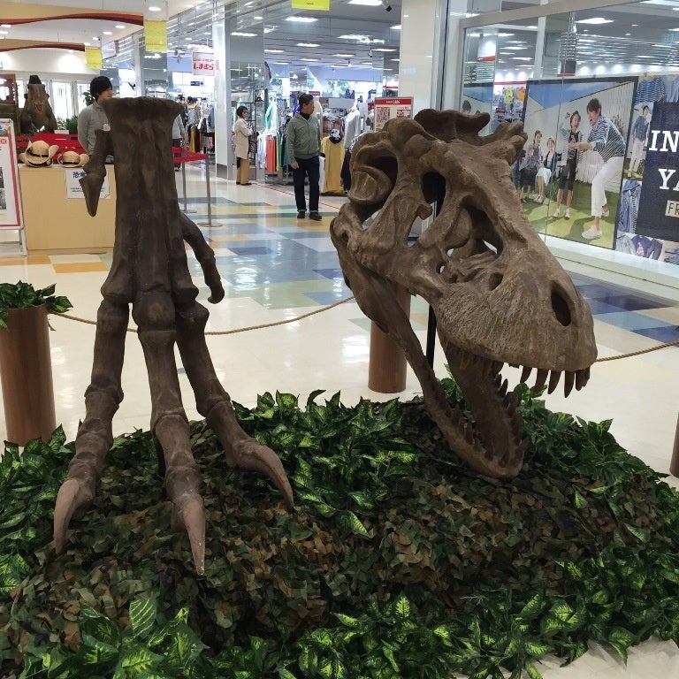 「恐竜の化石（レプリカ）」 ※ティラノサウルスの頭部・脚